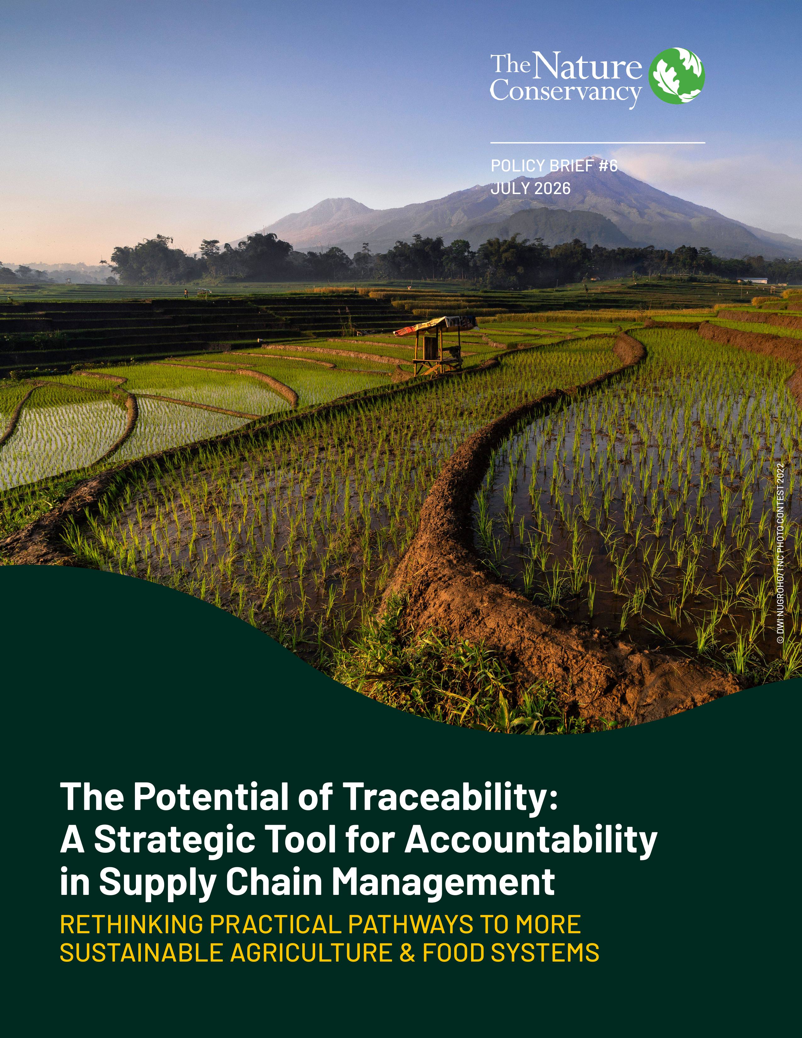 Cover image for Nature-based Solutions brief..