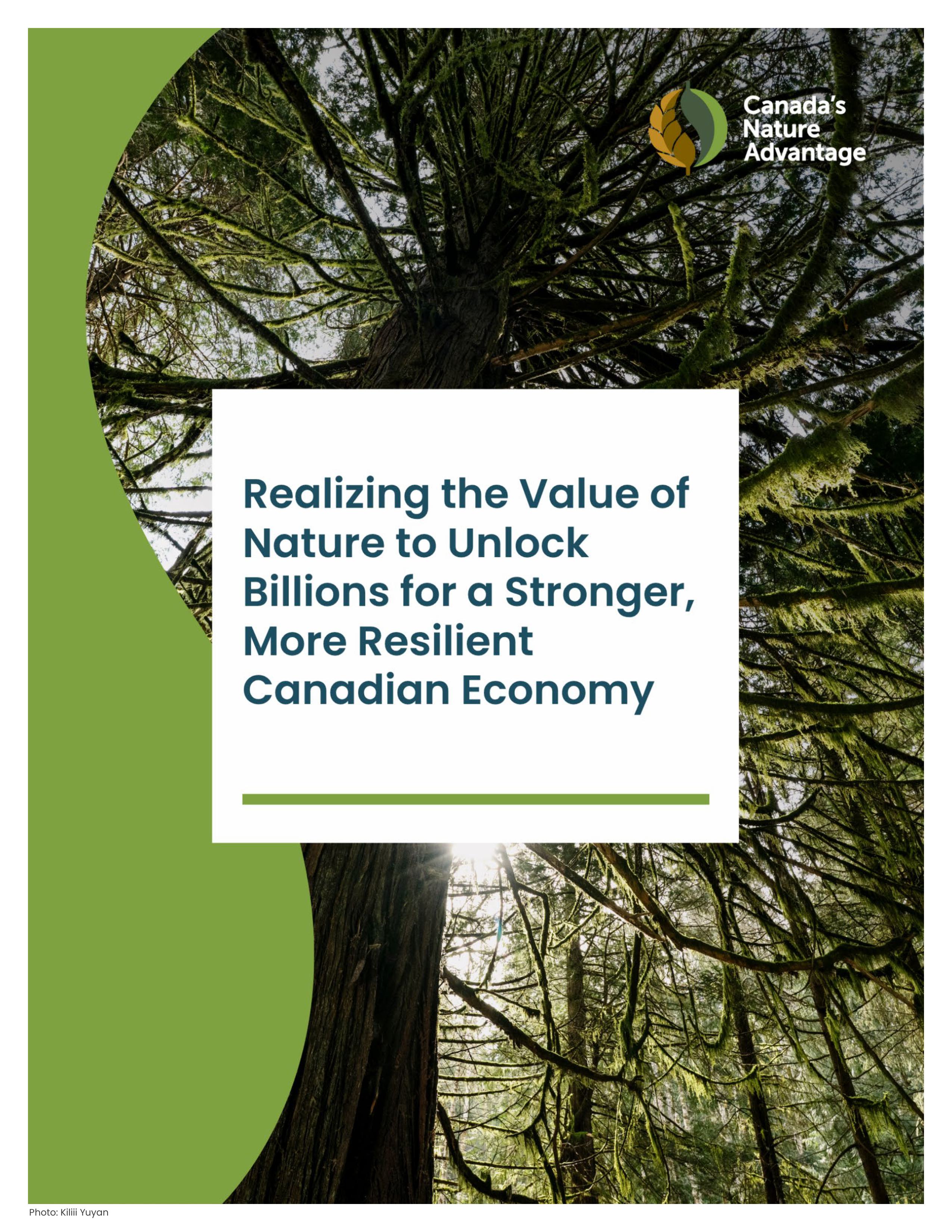 Cover image for Realizing the Value of Nature to Unlock Billions for a Stronger, More Resilient Canadian Economy policy brief.