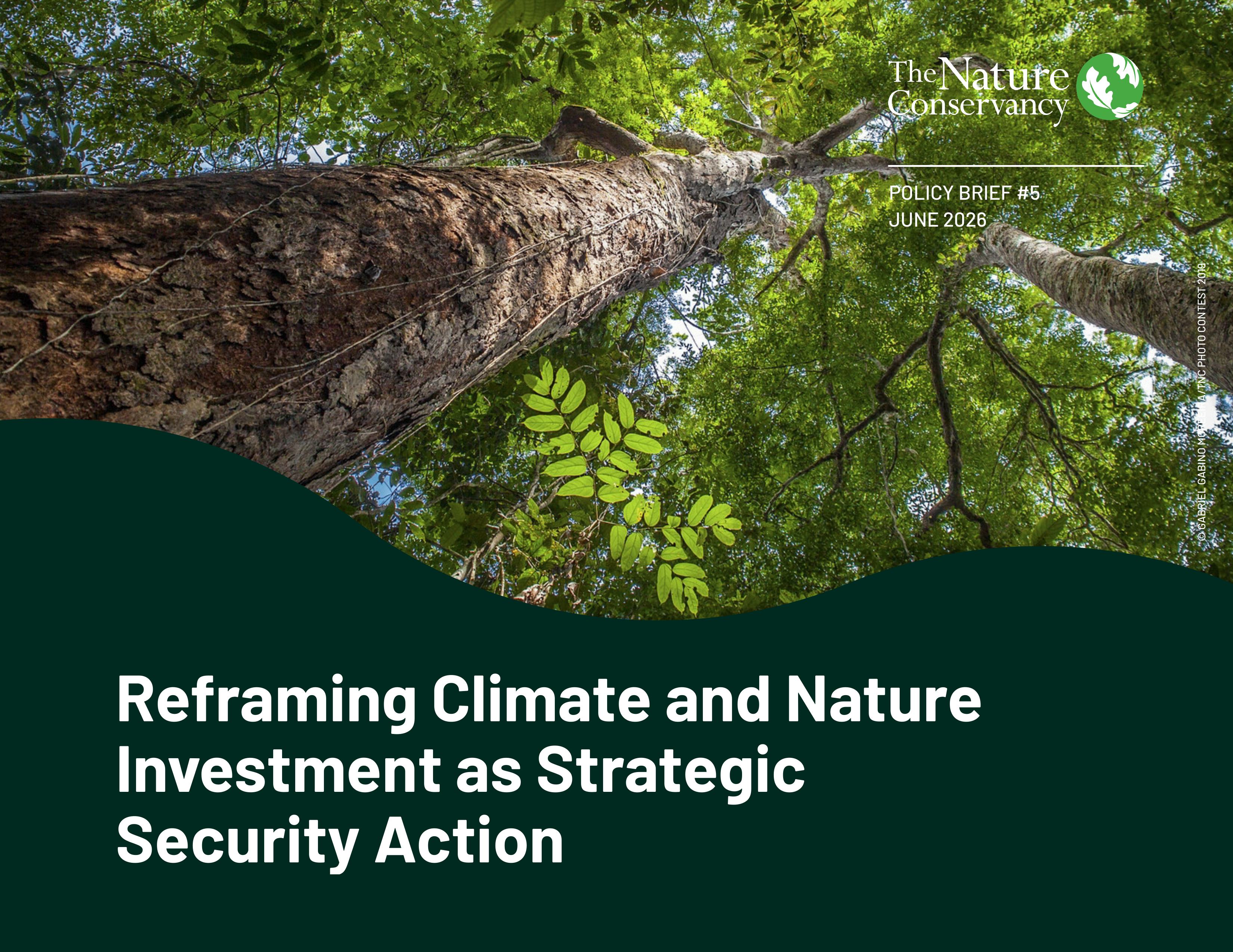 Cover image for Reframing Climate and Nature Investment as Strategic Security Action policy brief.