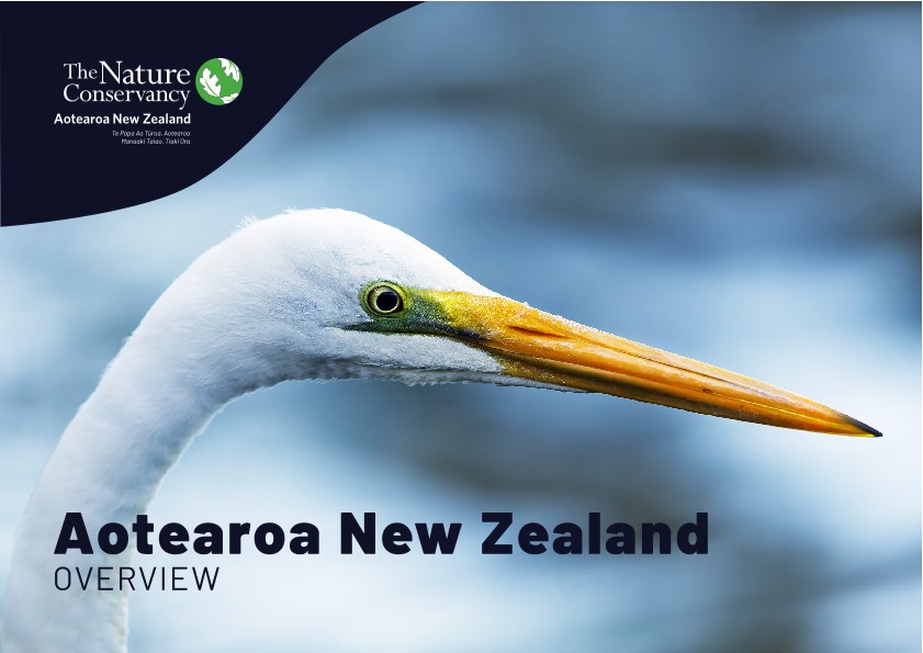 Cover of the 2025 TNC New Zealand overview document.
