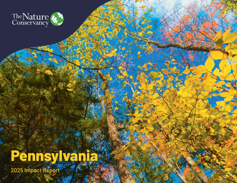 The cover of the Impact Report.