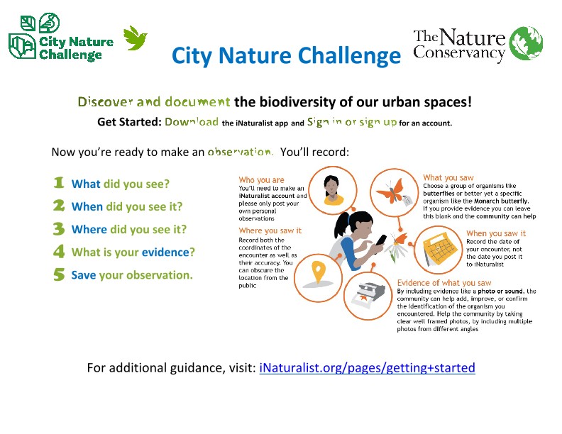 Screenshot of the CNC guide.