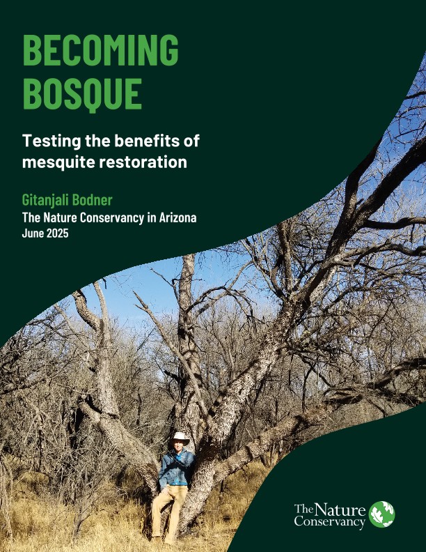 Cover of the Becoming Bosque report.