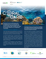 Cover of the CoralCarib French language factsheet. 