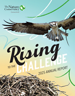 The Nature Conservancy reports on conservation wins achieved during 2025.