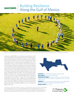 The Nature Conservancy reports on achievements since launching the GulfCorps program.