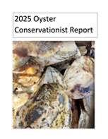 Cover of 2025 Oyster Conservationist final report.