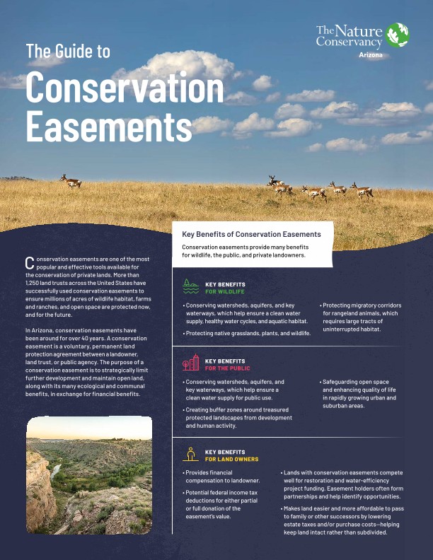 Conservation easements provide many benefits for wildlife, the public, and private landowners. Read the guide to learn more.