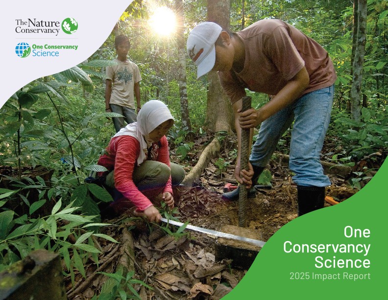 1 person kneeling and 2 people standing taking samples in a forest. 