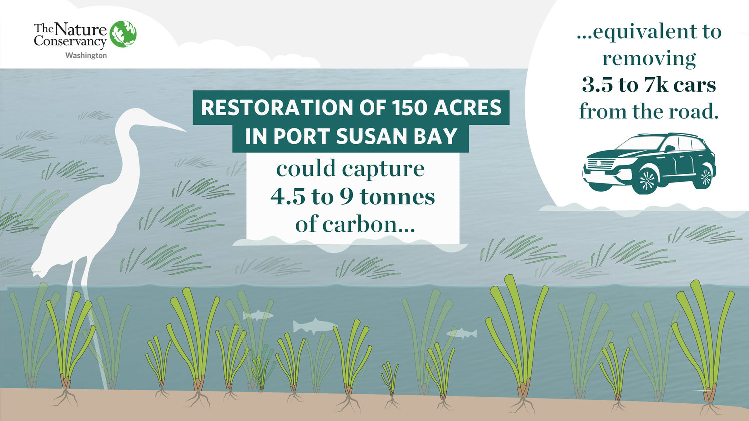 of 150 acres in Port Susan Bay