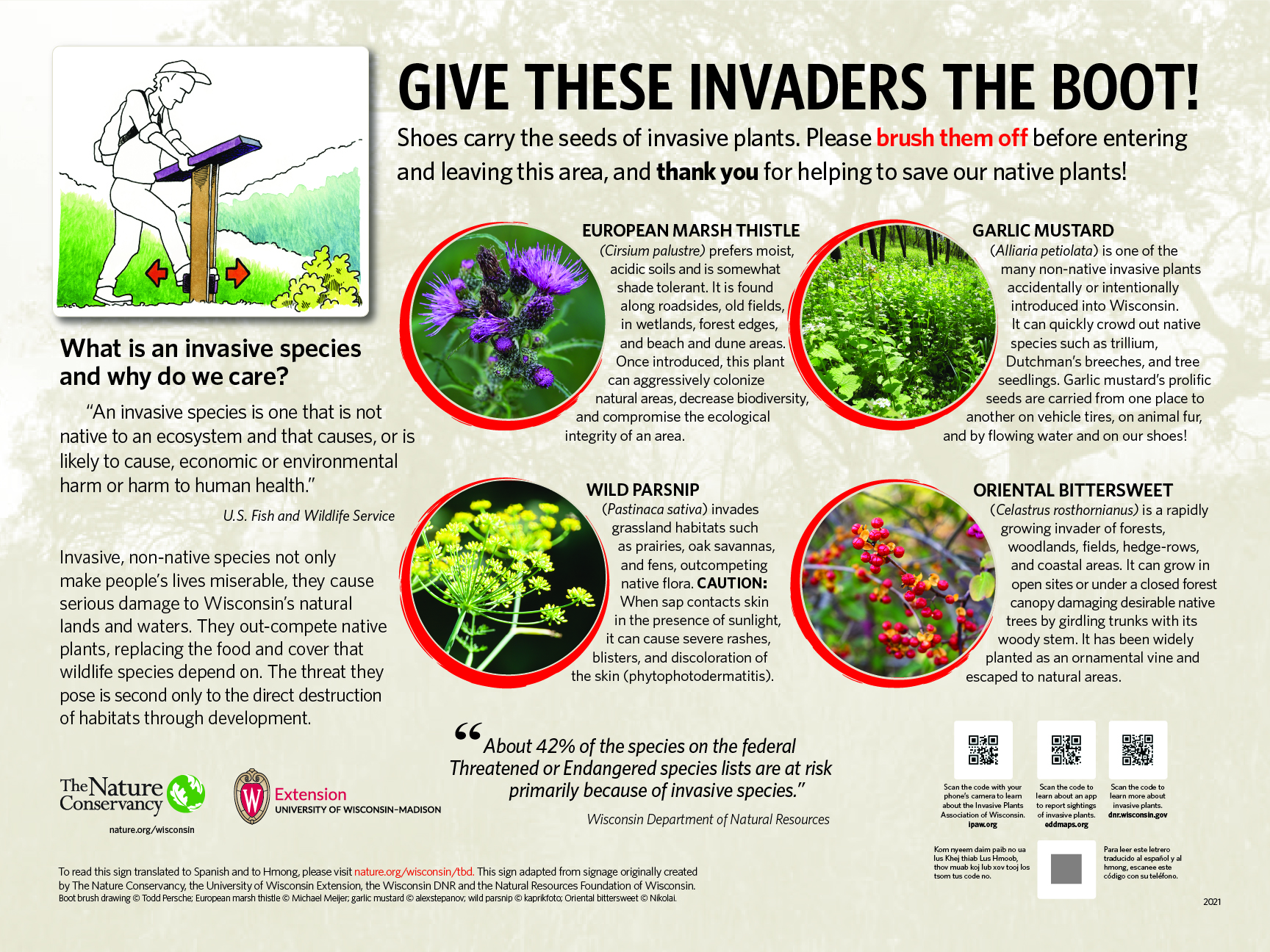 Graphic showing why you should use a boot brush to rid your boots of invasive species. 