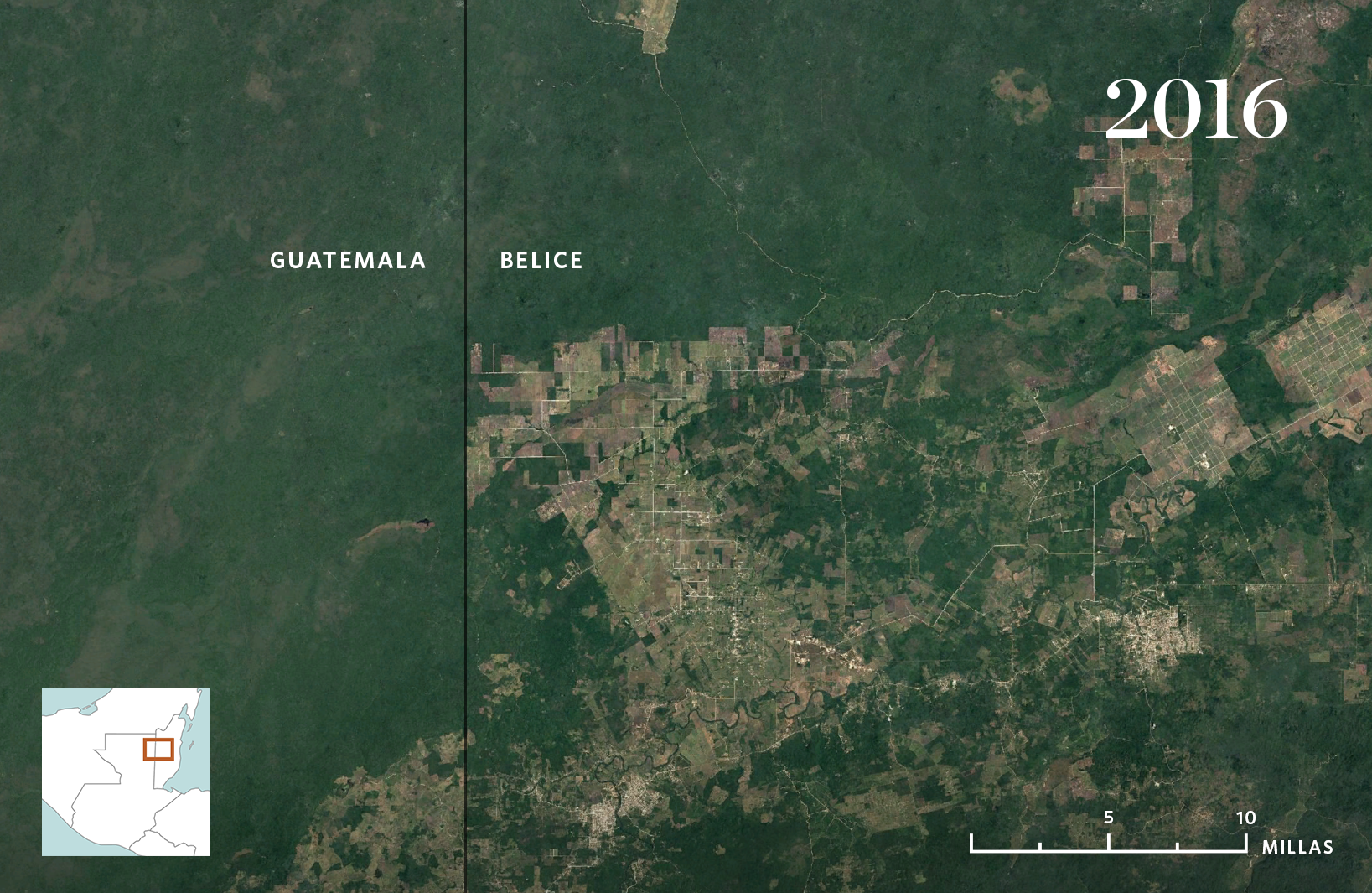 Vista aérea con desarrollo invadiendo el bosque.