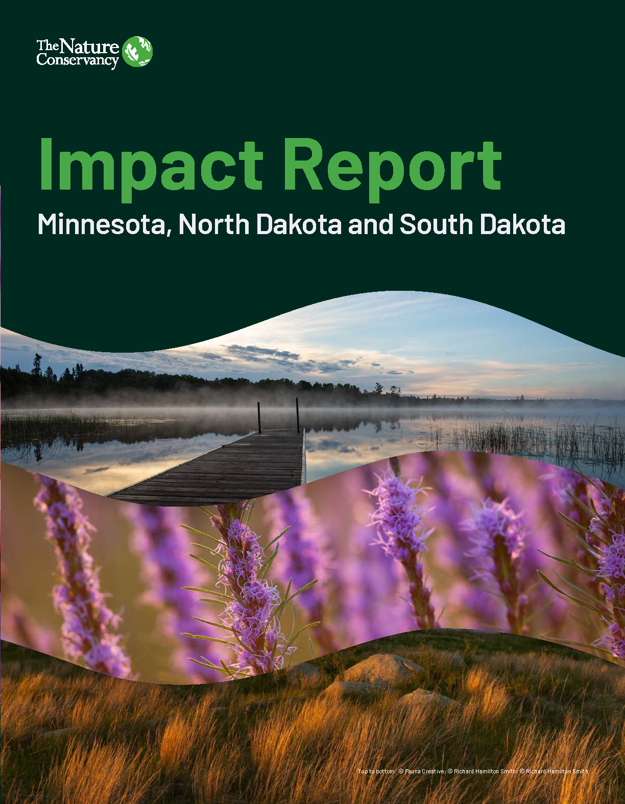 Cover of the 2025 impact report.