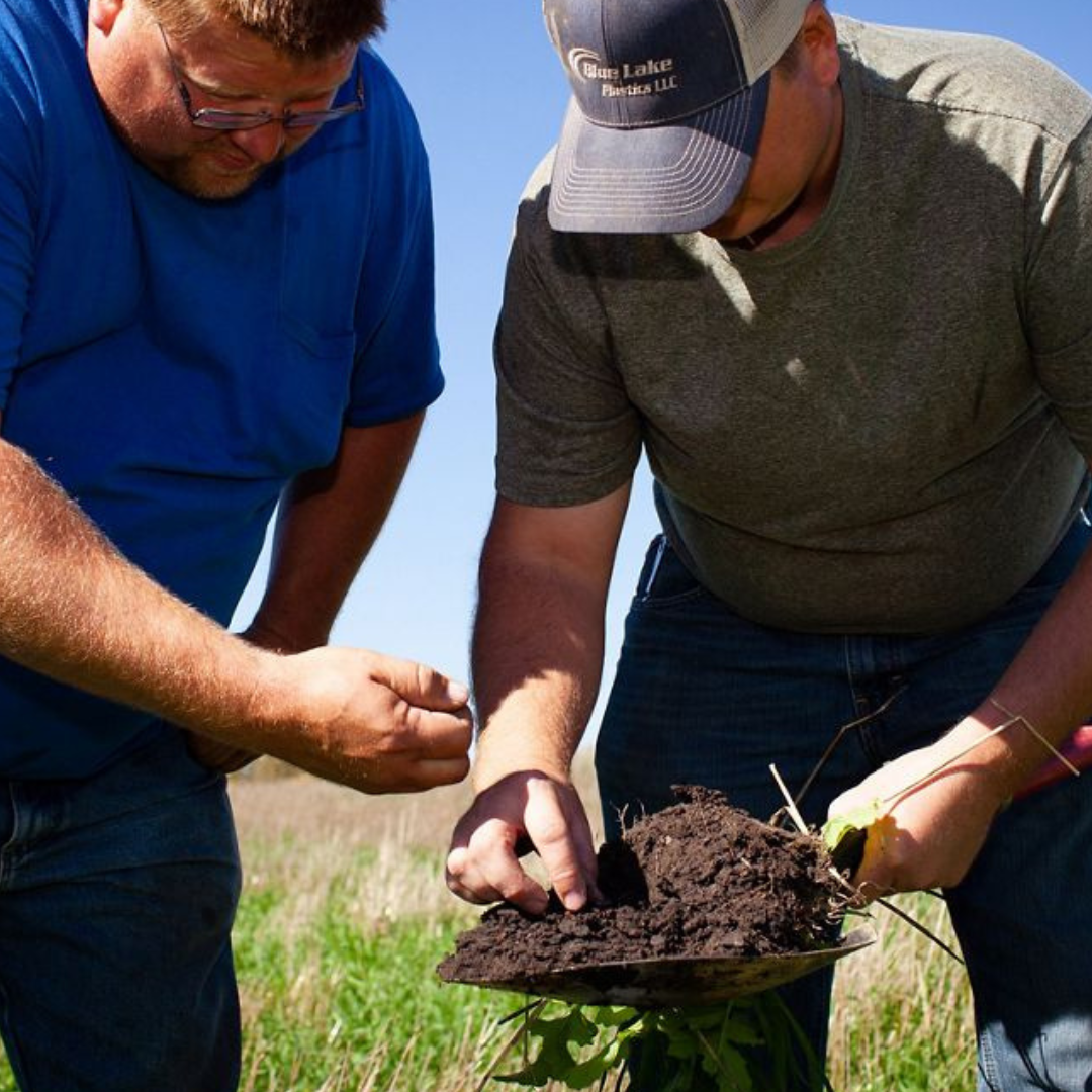Two men look at soil in a shovel.