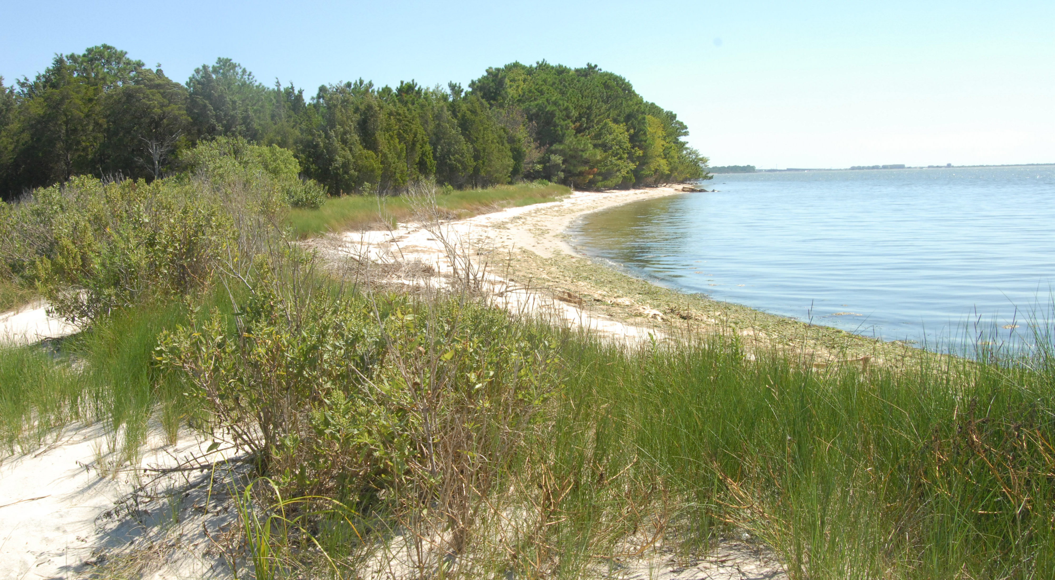 A wide sandy beach curves away into the distance ending at a point where tall trees meet the calm, still water.