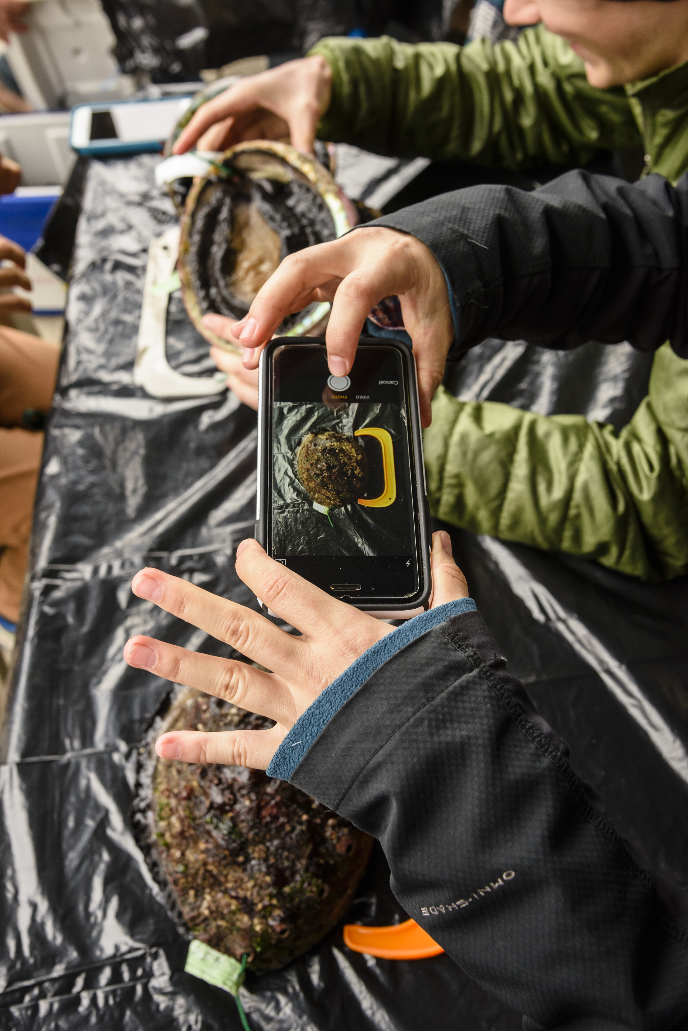Citizen scientist uses TNC’s web application to collect data that could help inform stock assessments and management.