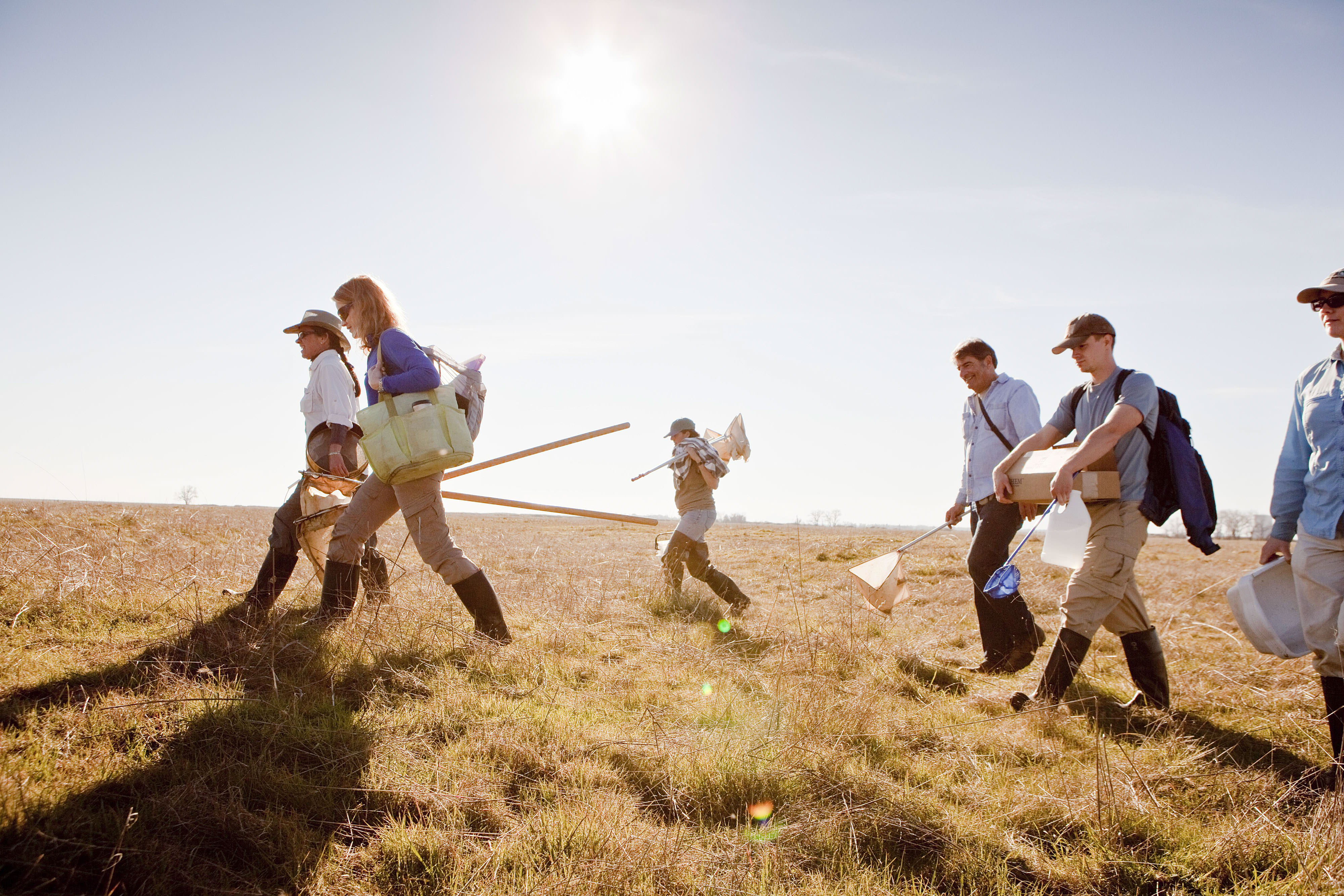 Scientists walking across a field with their gear.