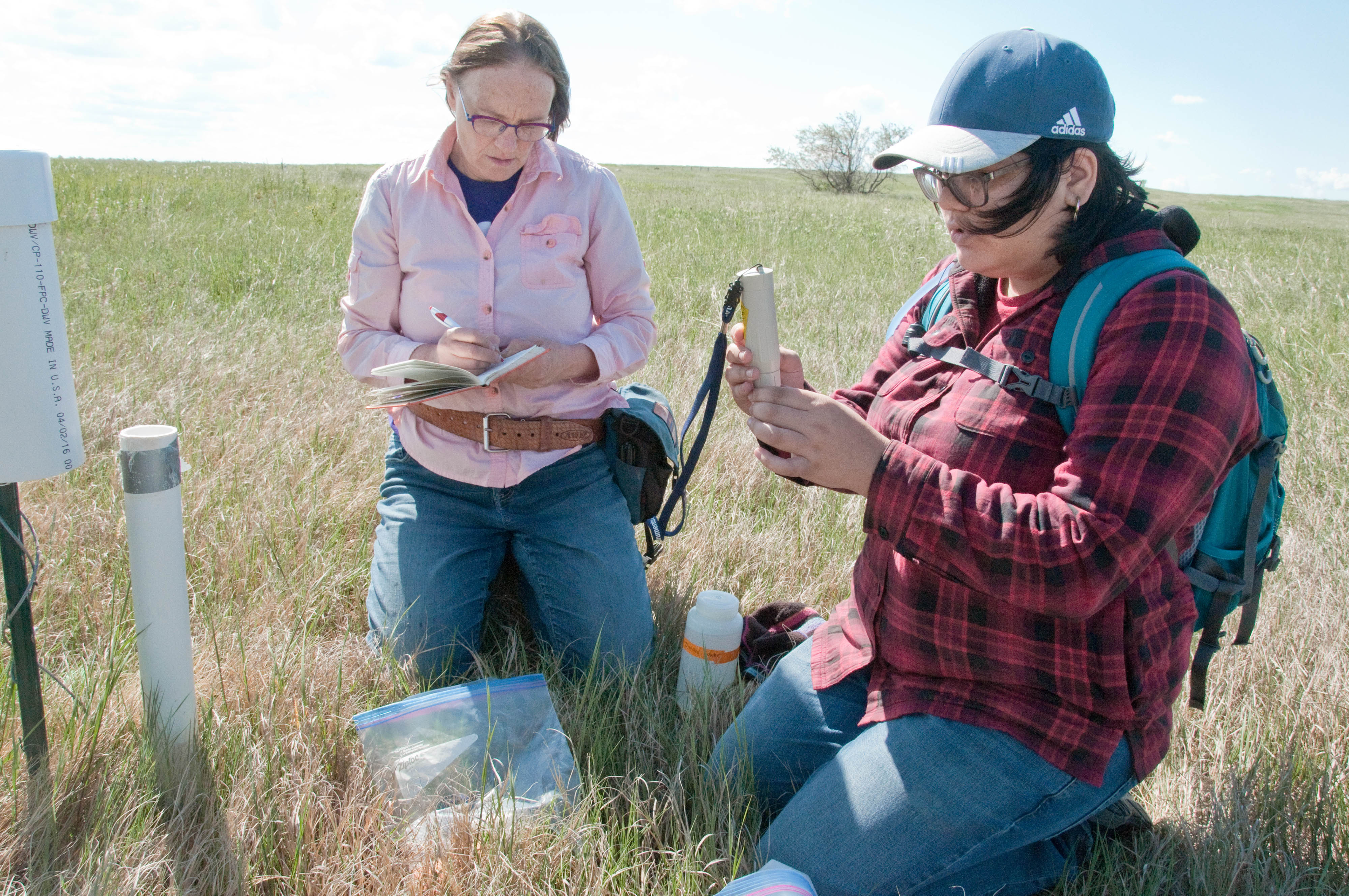 Two researchers taking field notes at a TNC preserve.