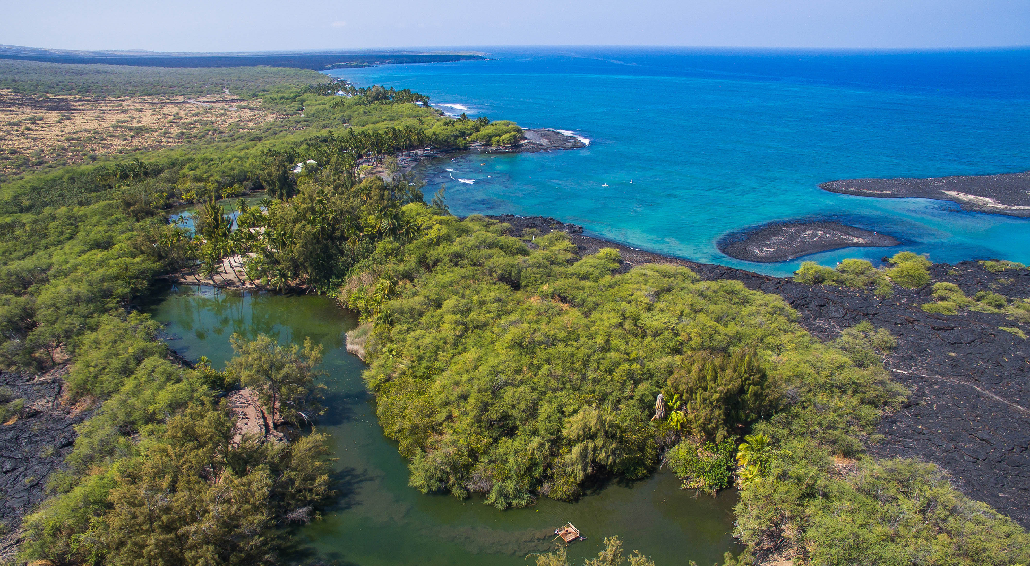 A forested coastline meets with blue ocean waters.