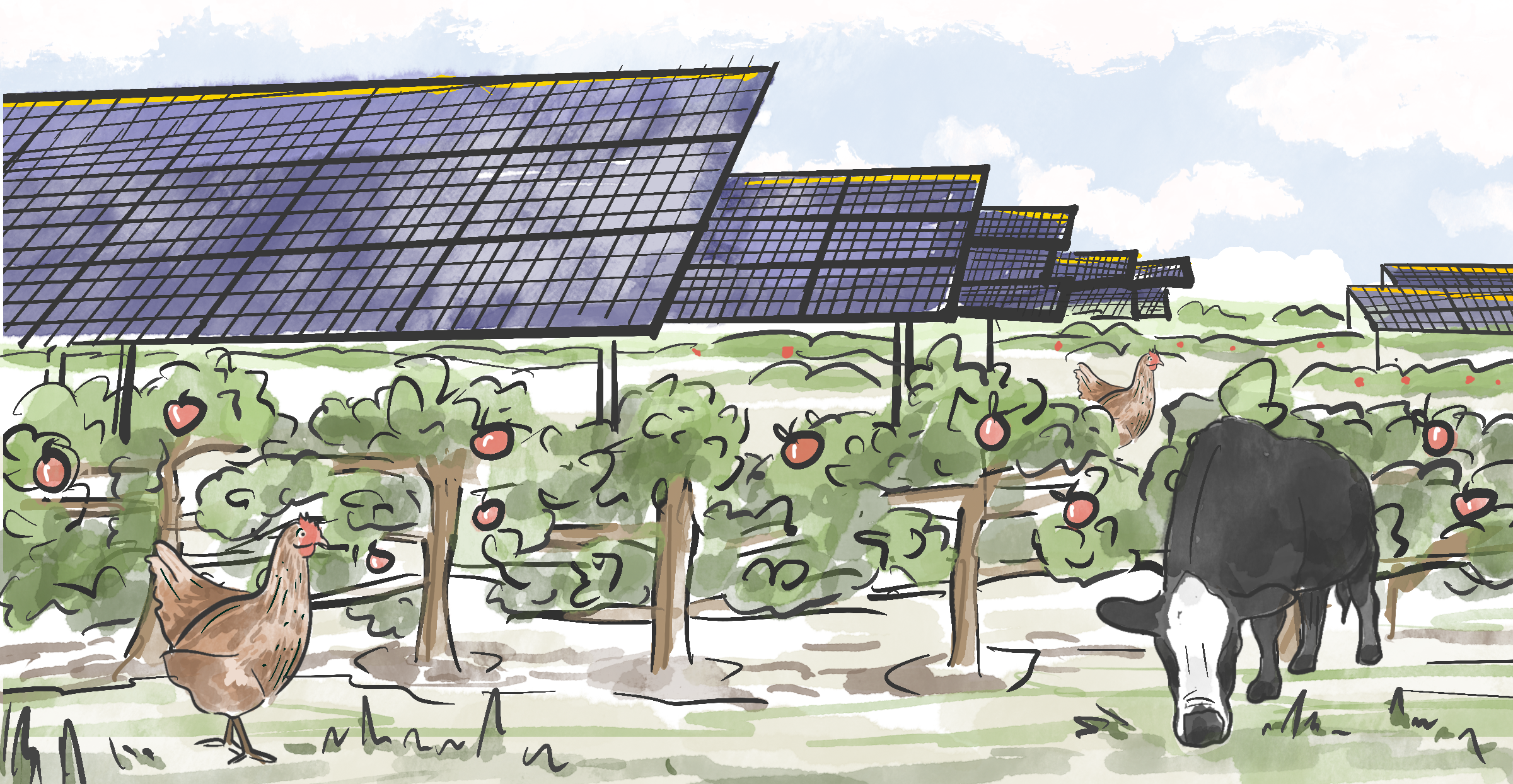 A drawing of apple trees and animals. 