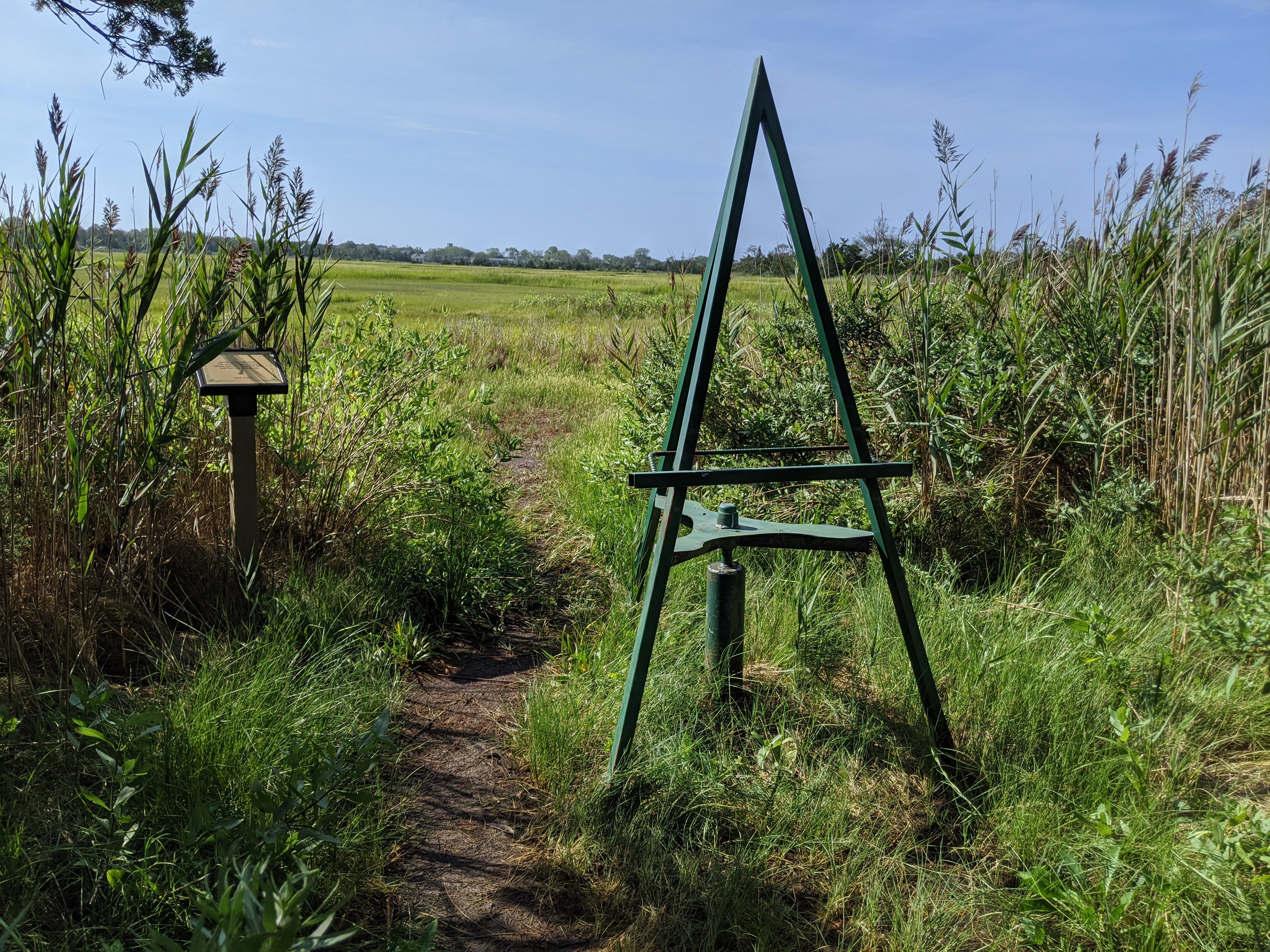 An art easel overlooks a wetland.
