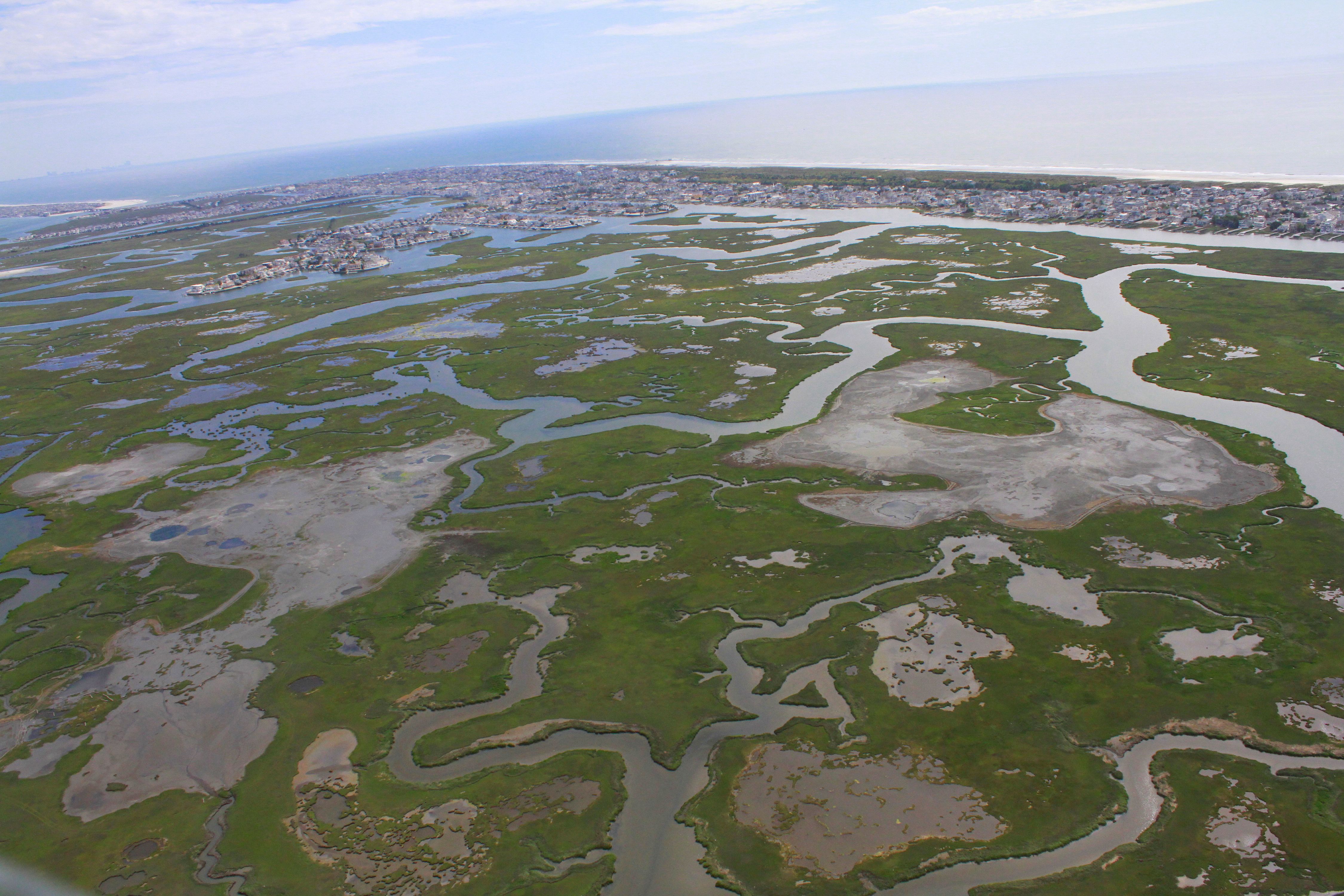 Aerial view of salt marsh.