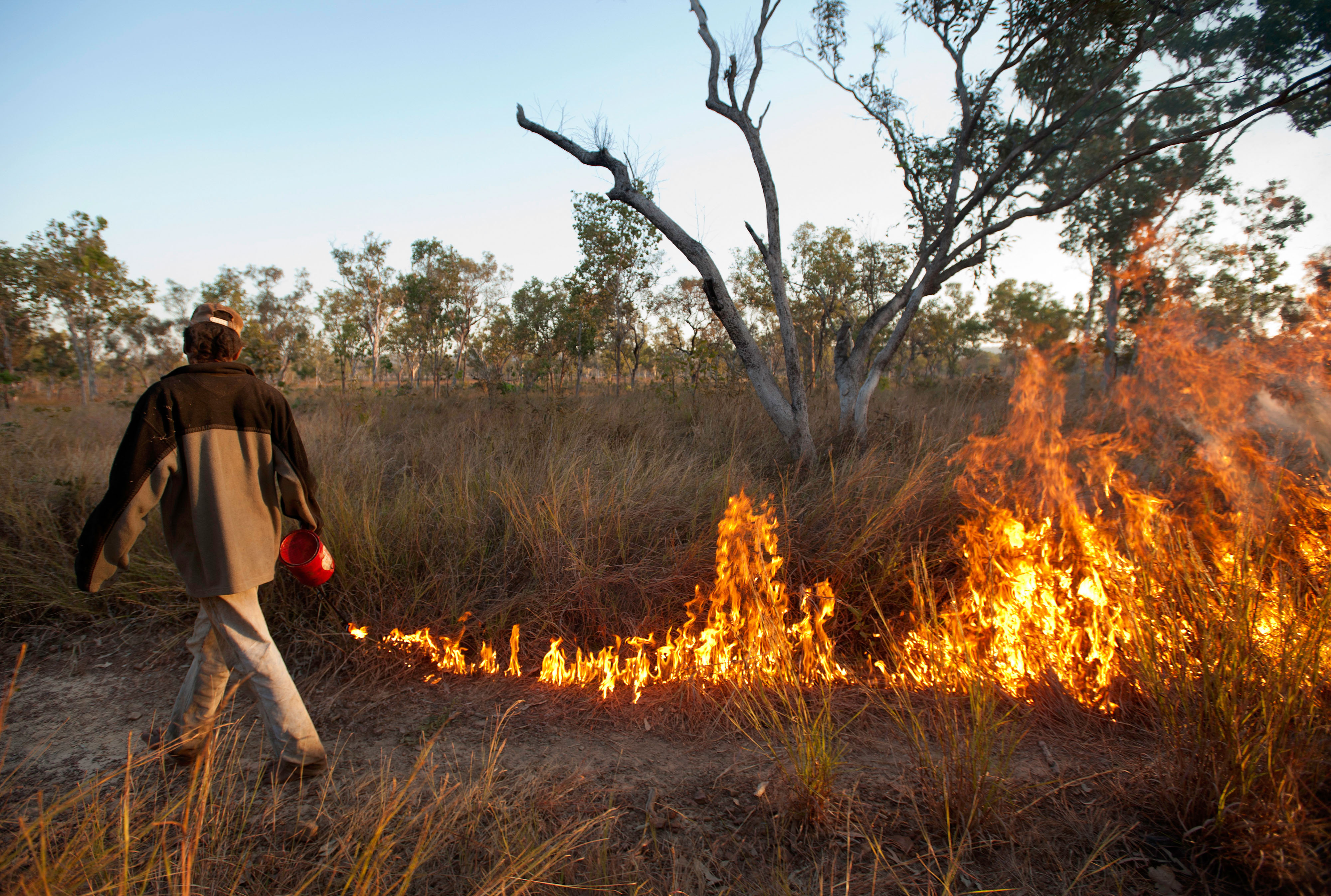 Man holding a petrol can walks across a burning grassland.