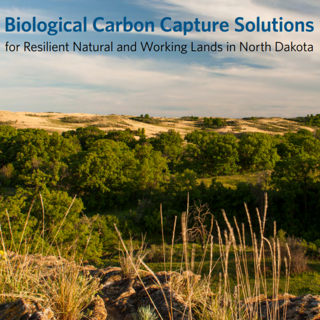 Biological Carbon Capture Solutions cover page.