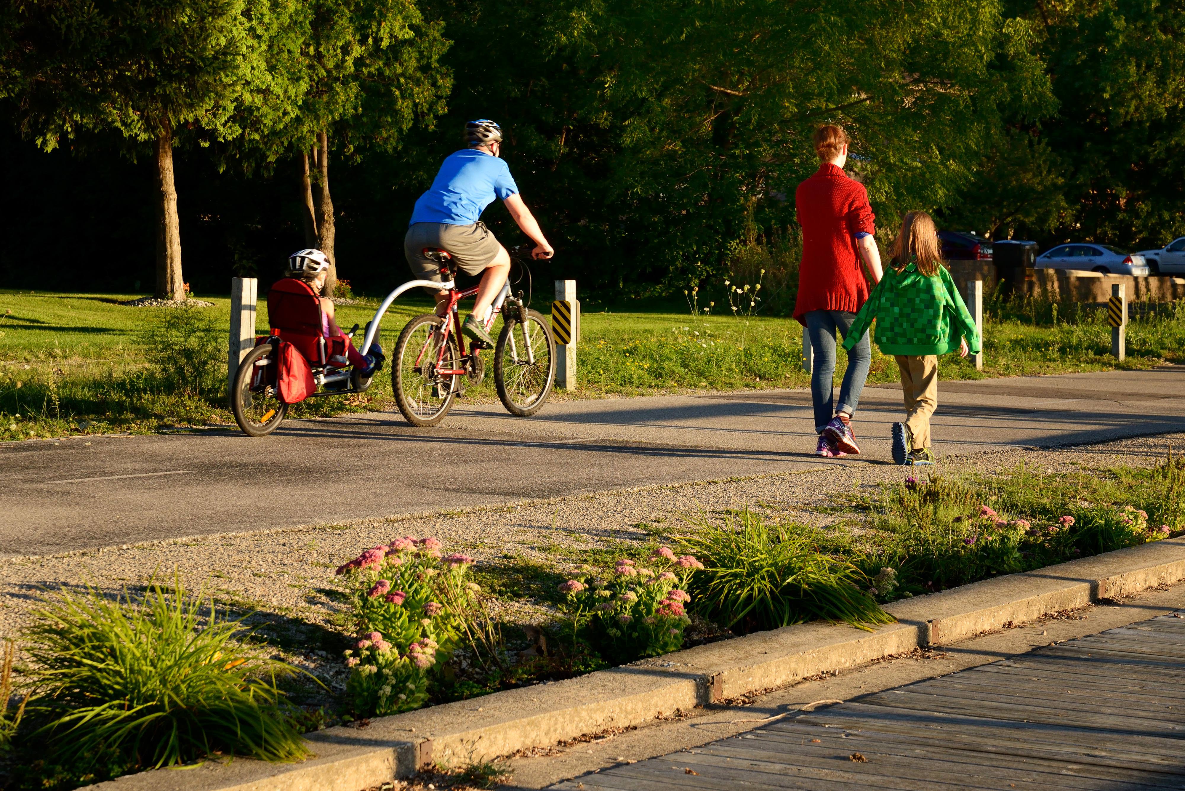 Man on a tandem bike with child in the back and woman with a second child walk along a trail bordered by planted pink flower