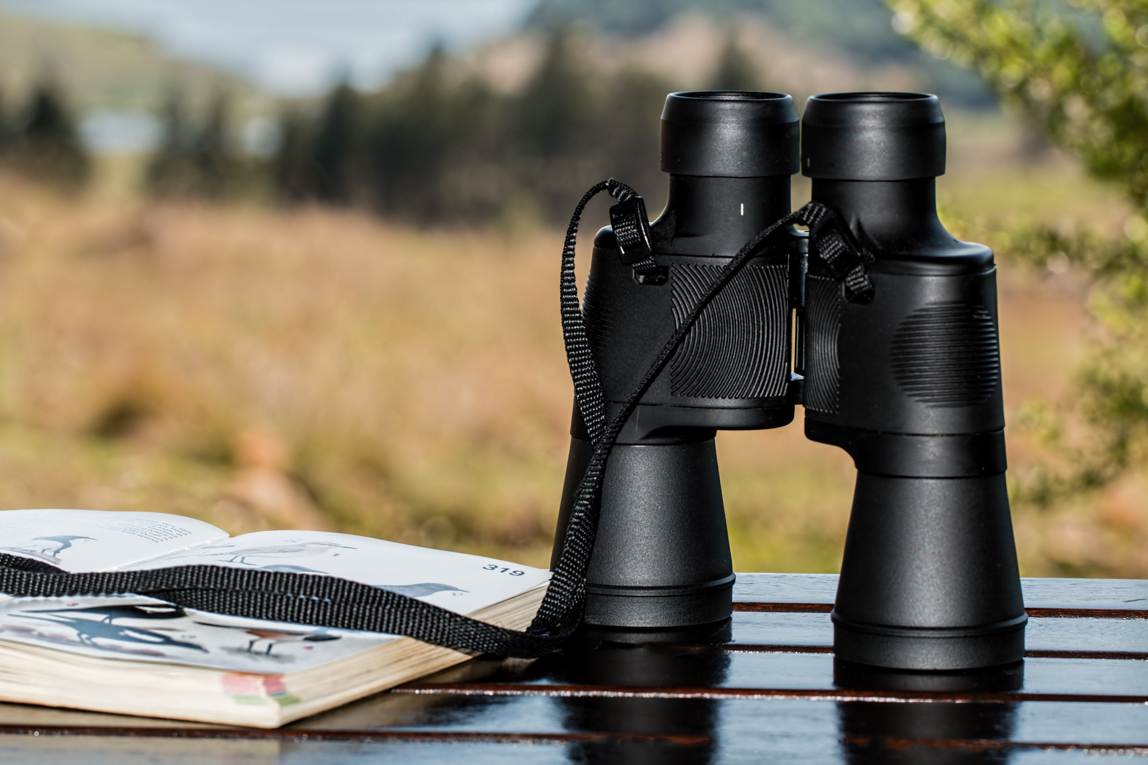 A pair of binoculars rests on a table.