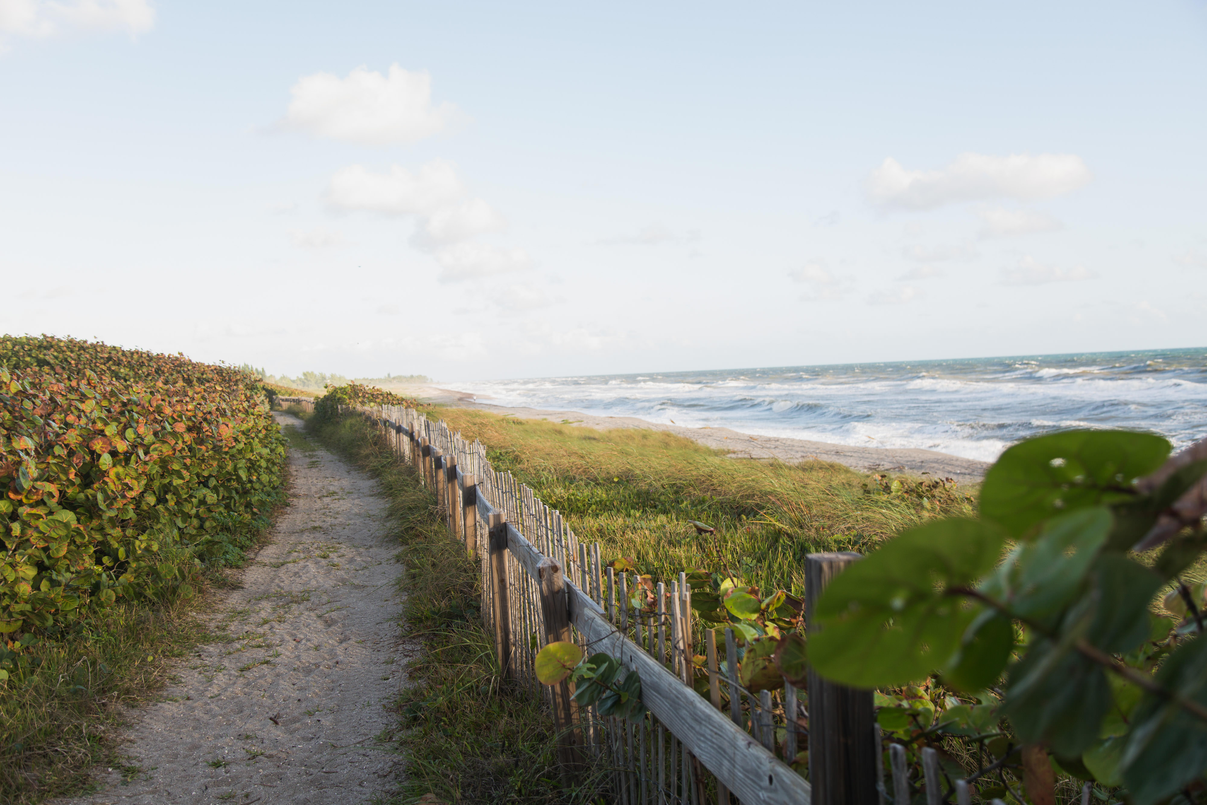 Coastal trail