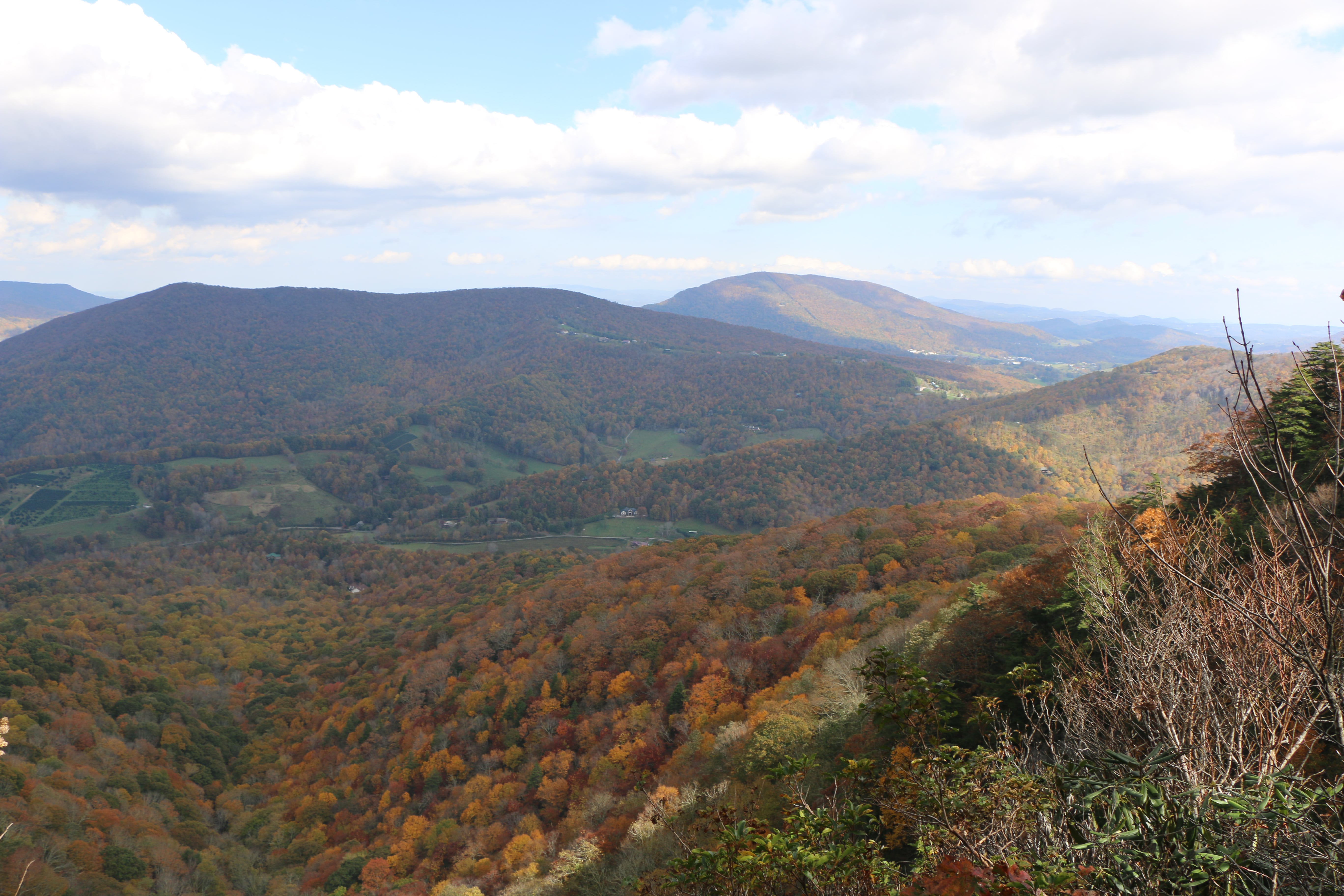 Colorful trees cover a vast mountain valley.