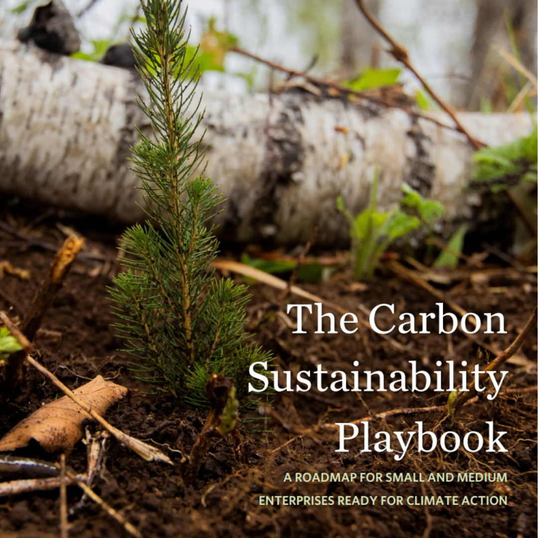Carbon Sustainability Playbook cover page.