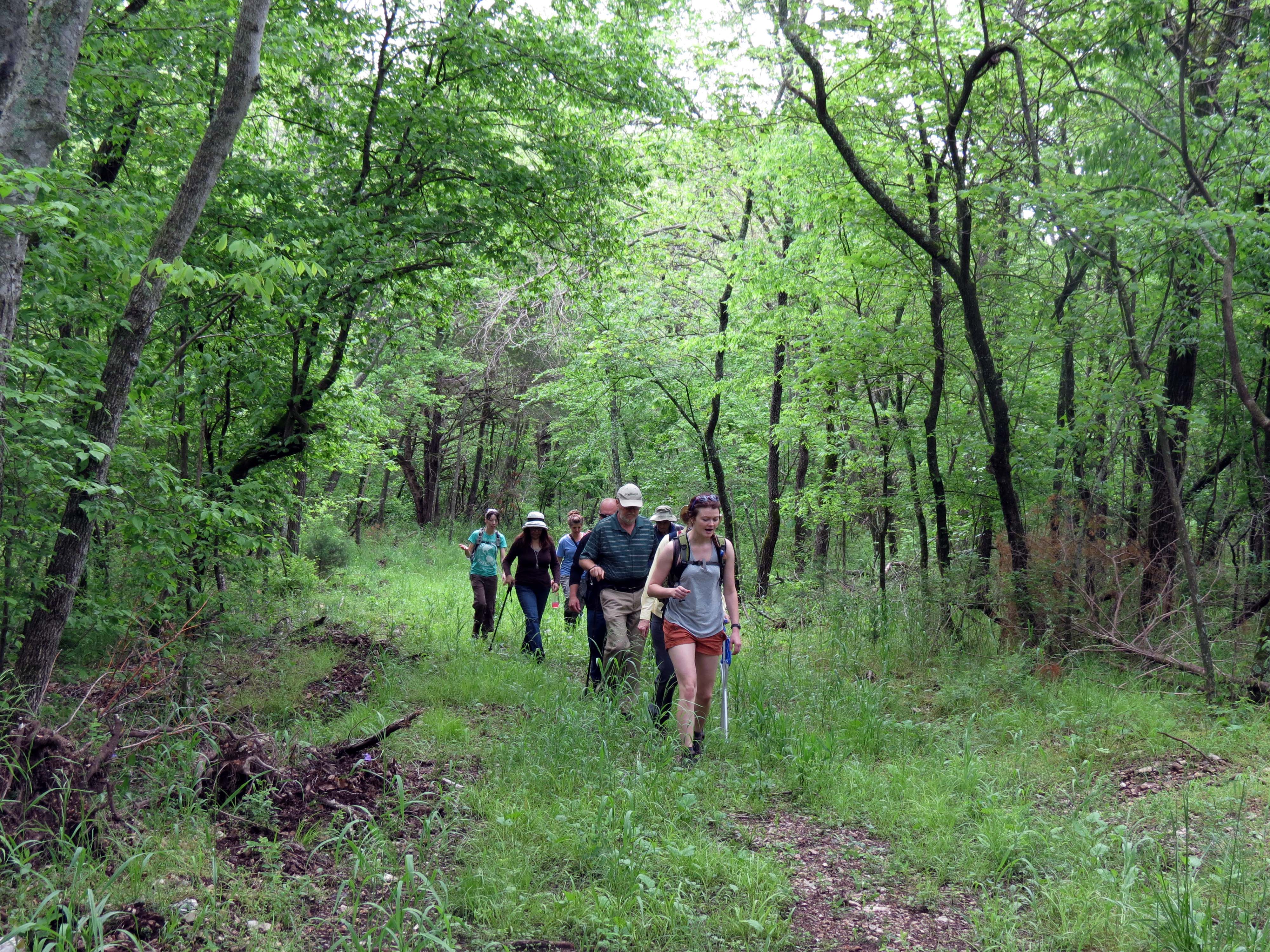 Hikers on the trail.