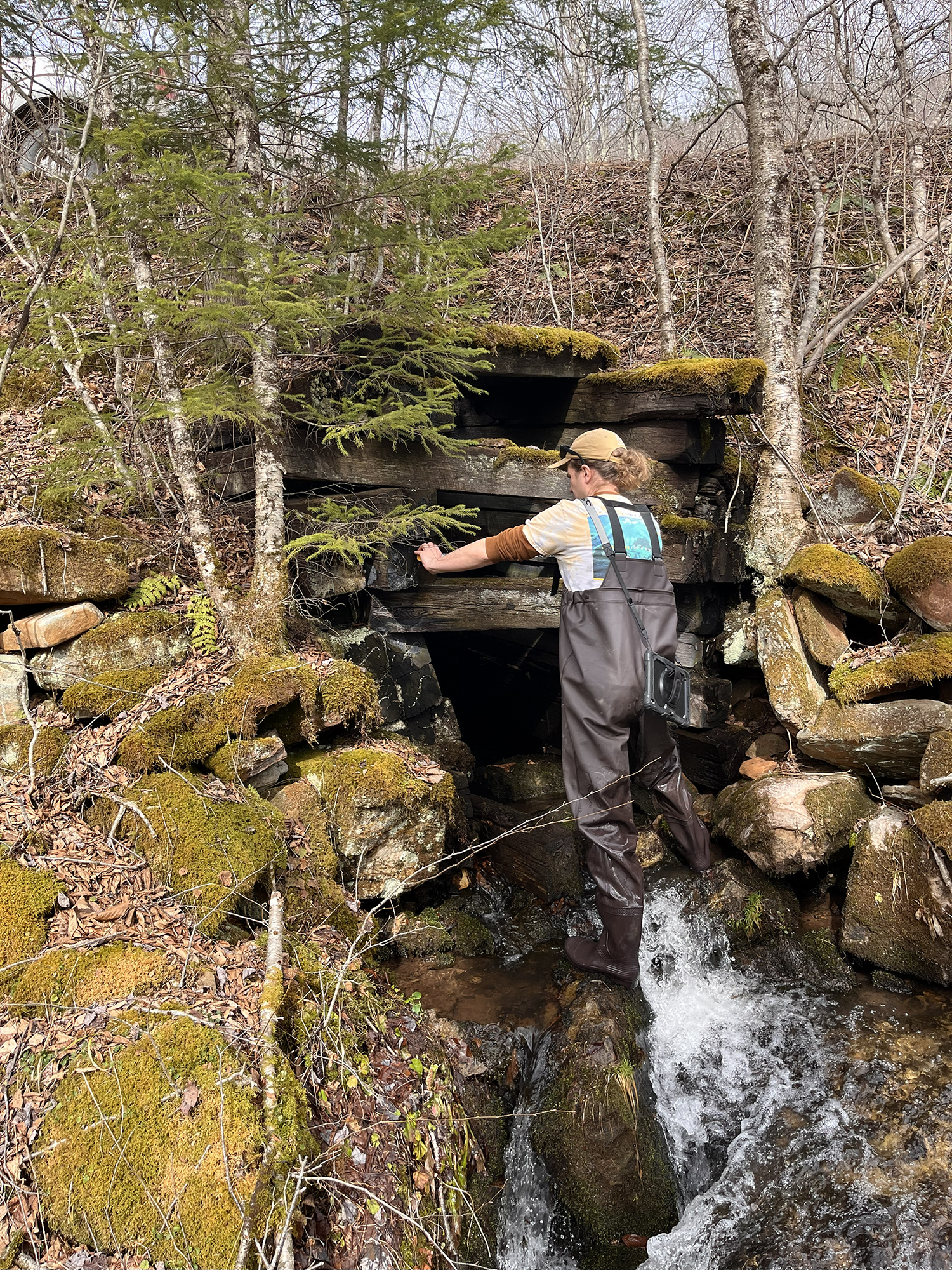 A woman measures a culvert under a road.