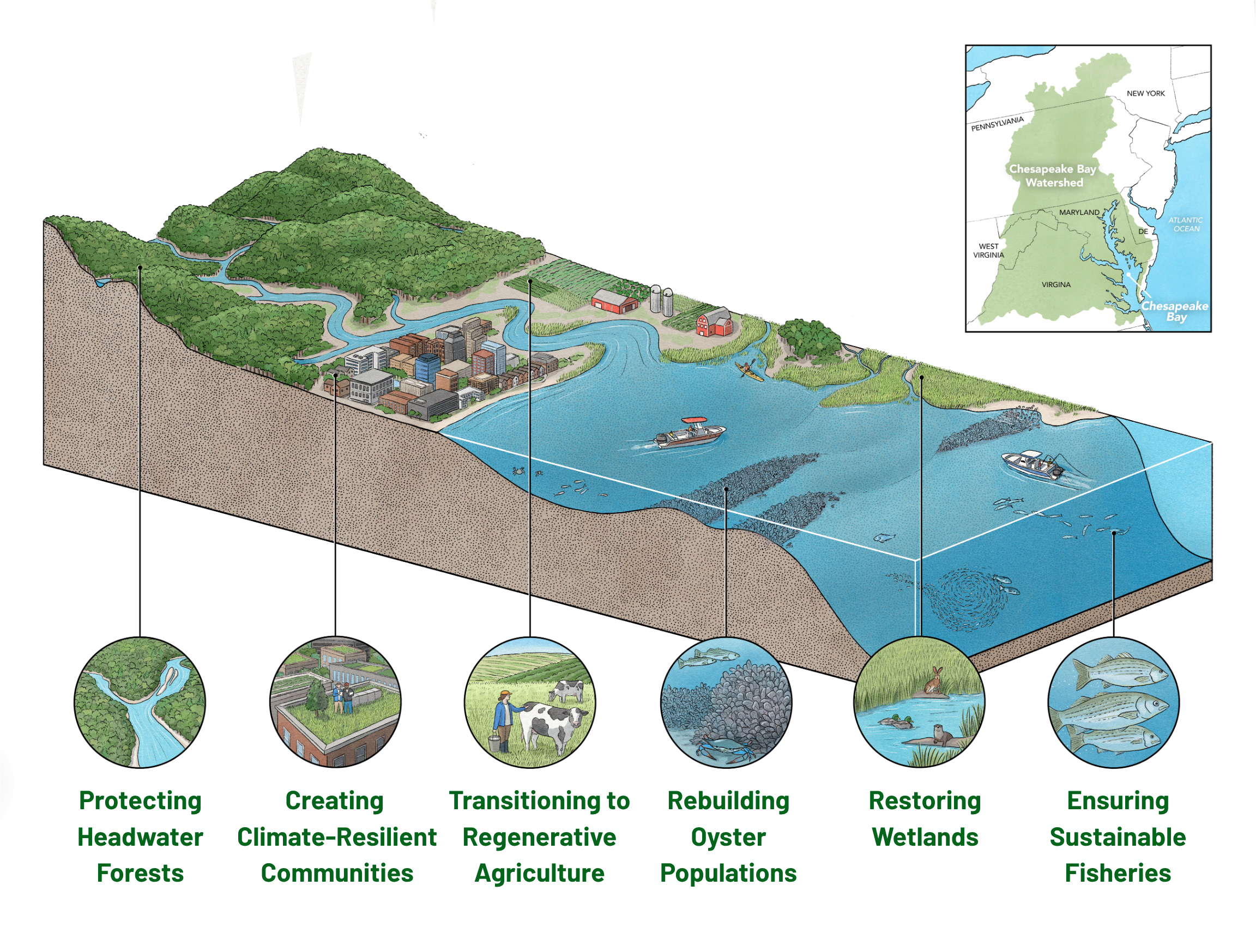 Illustration of the Chesapeake Bay Watershed