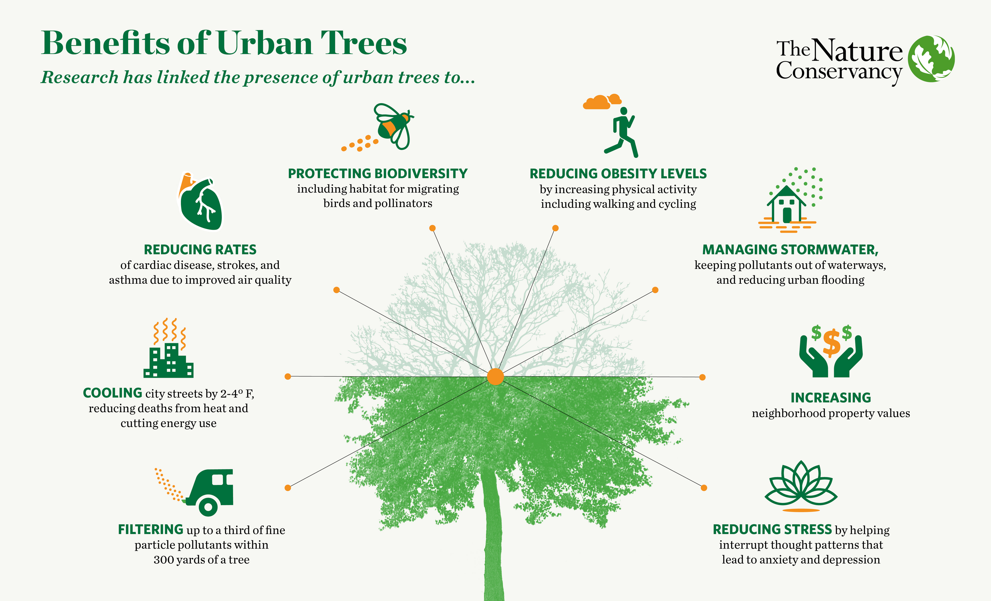 An infographic illustrates the benefits of city trees.