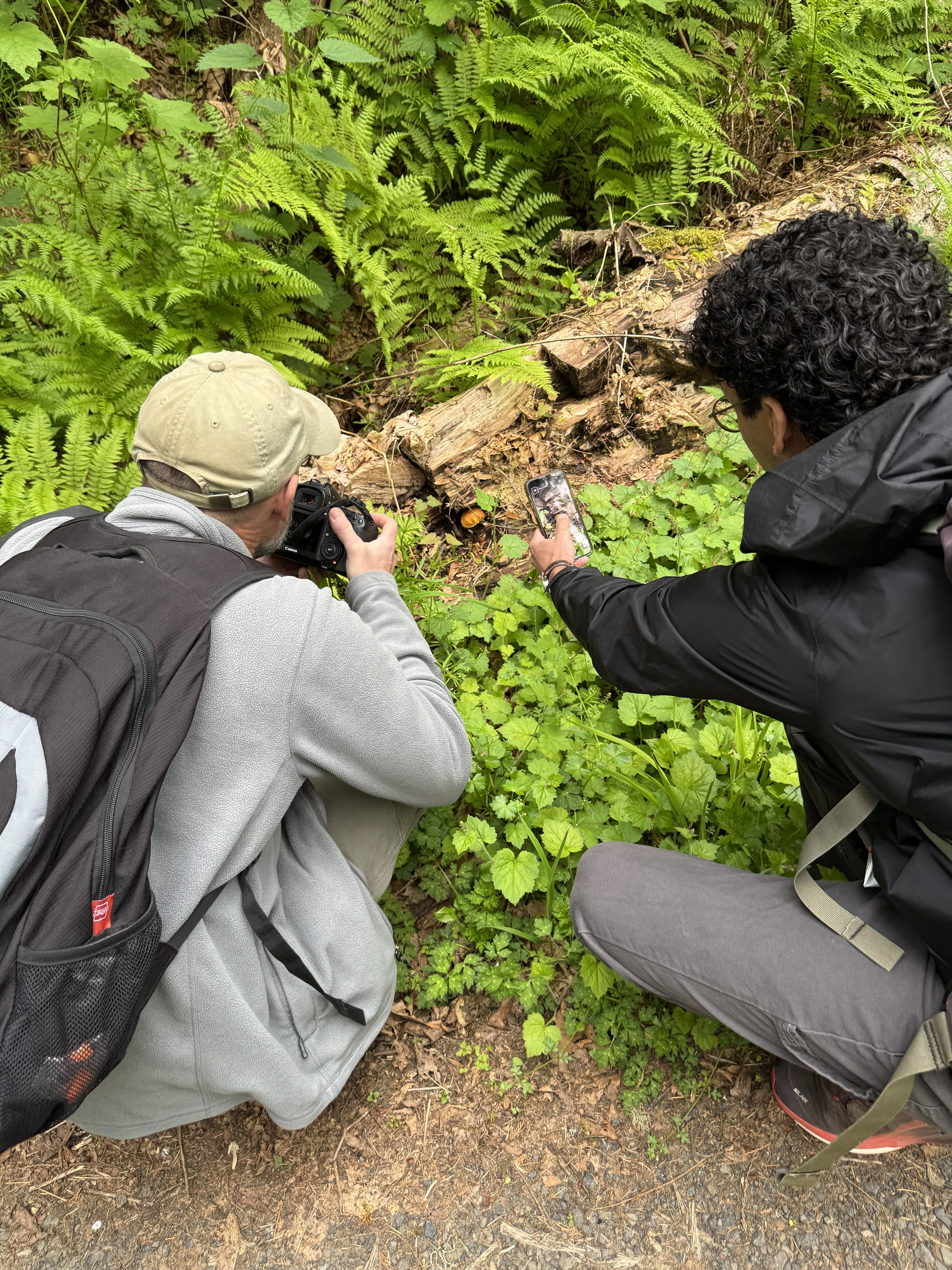Two people kneel to look at (and photograph) wildlife.