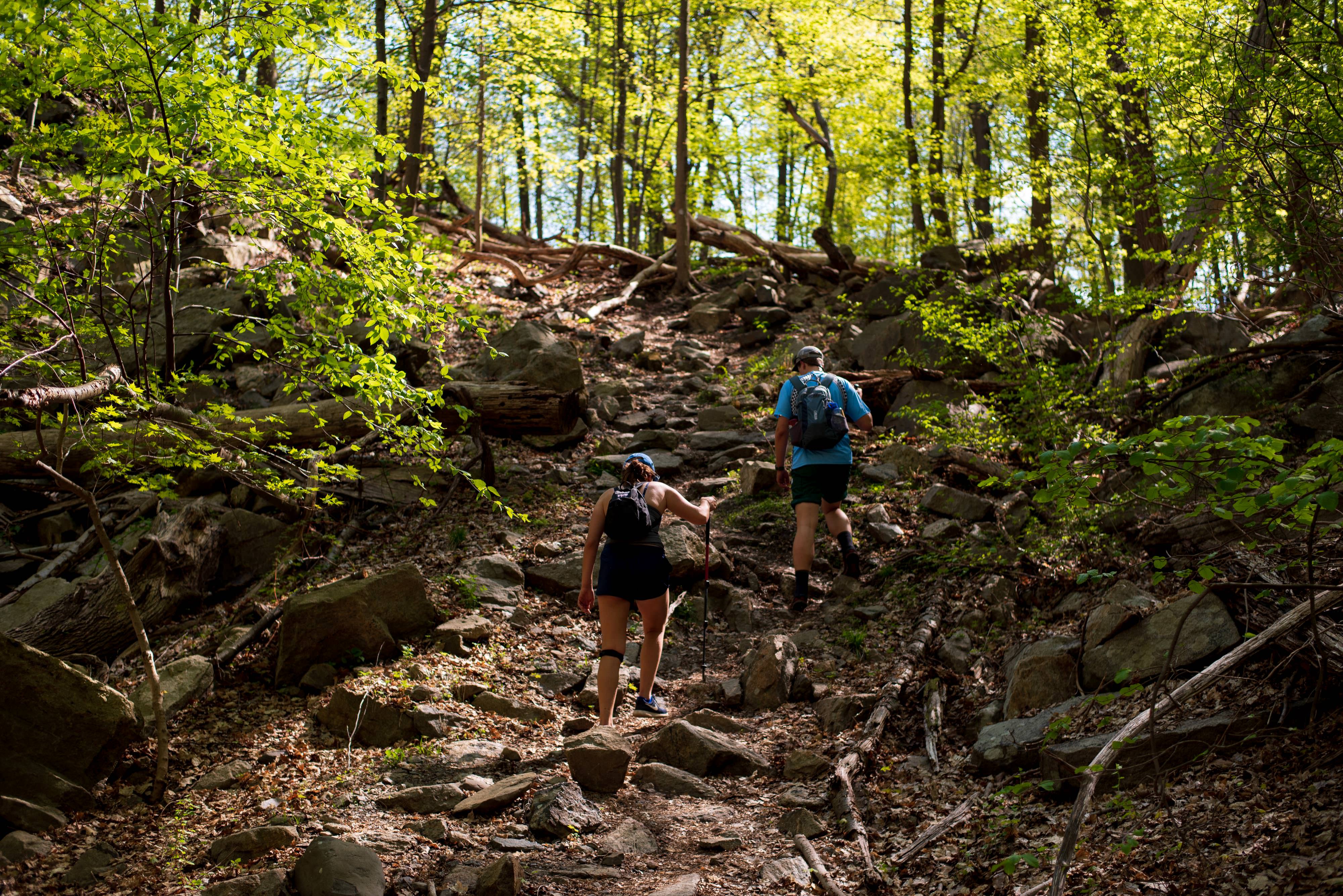 Hikers climbing a uphill trail. 