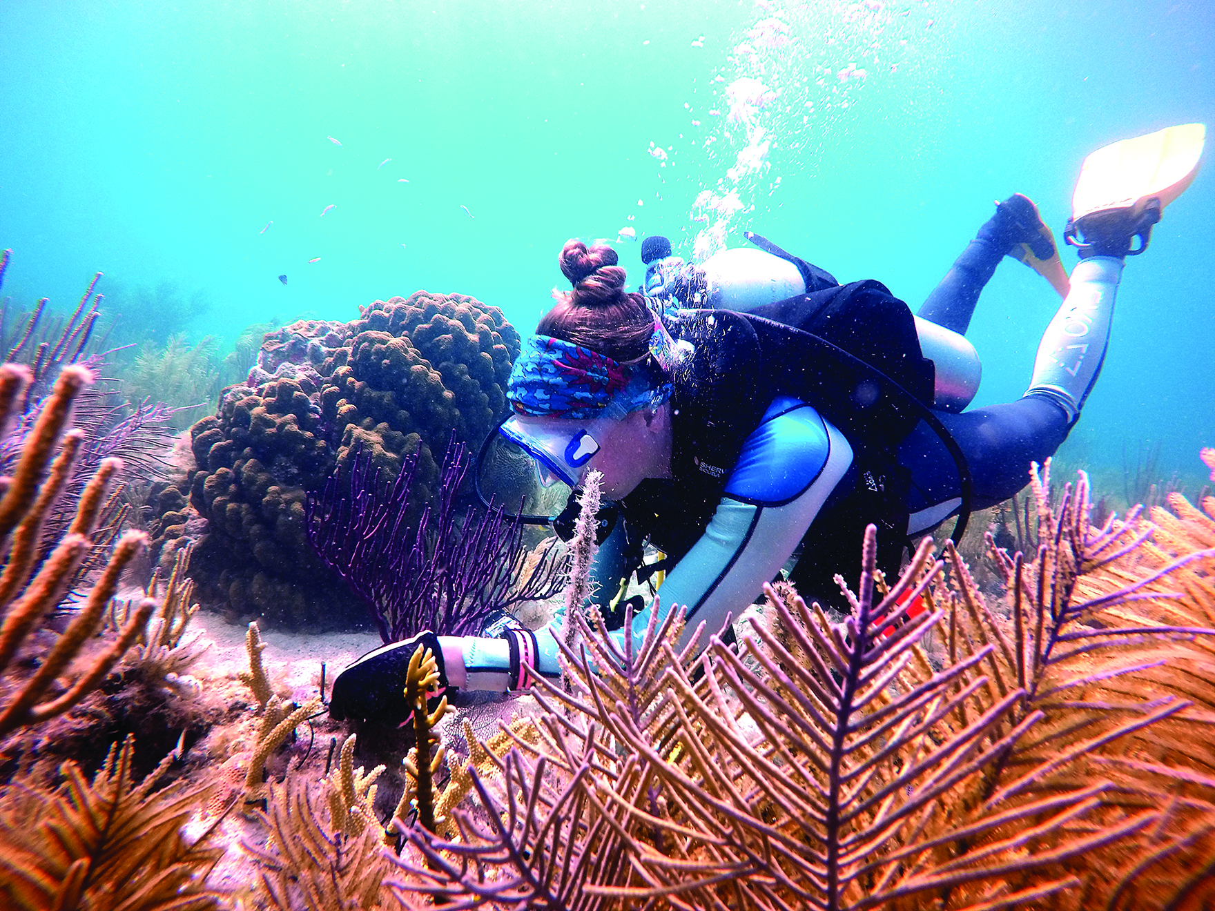 Workers on a living shoreline project.