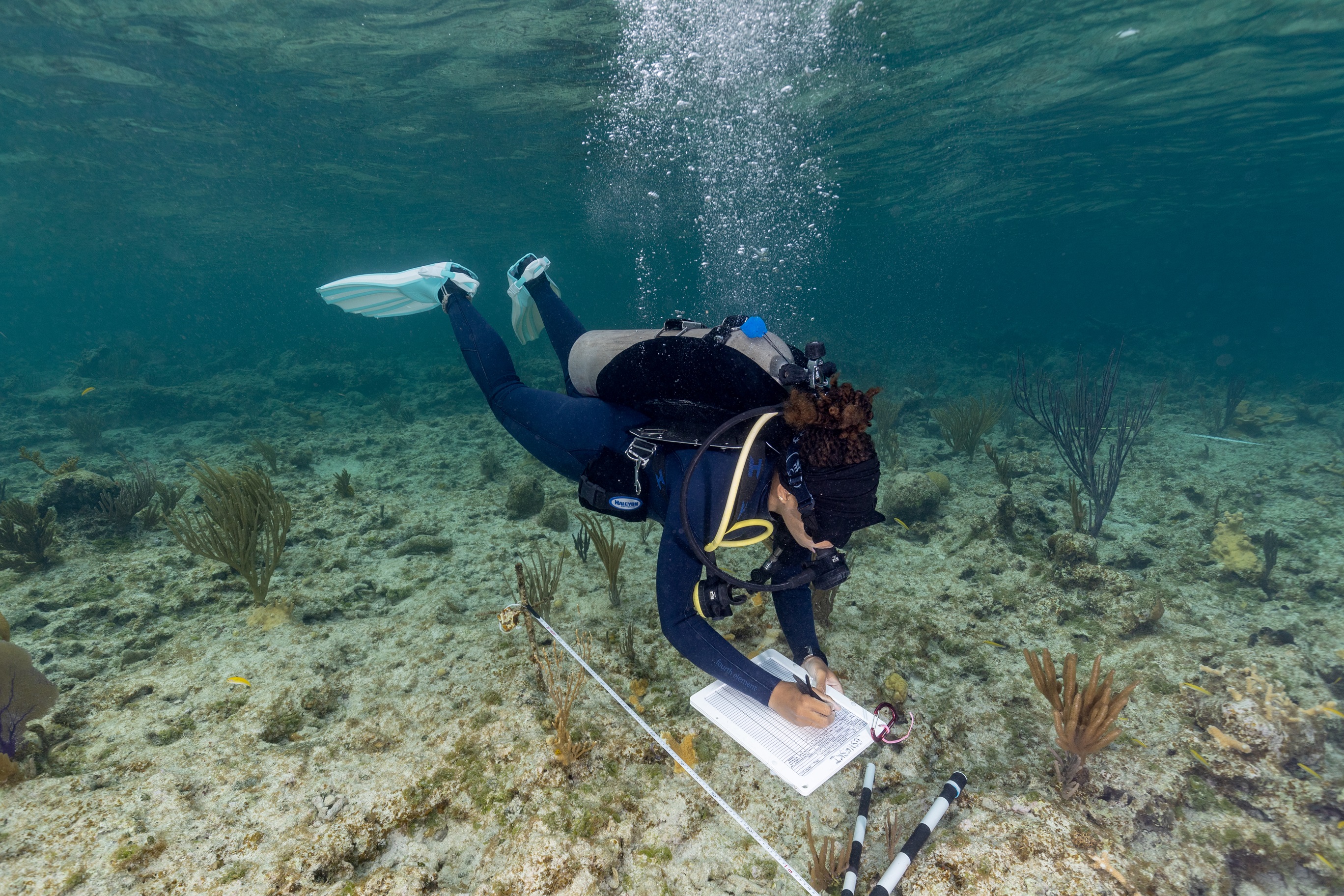 a woman scuba diving and taking notes underwater