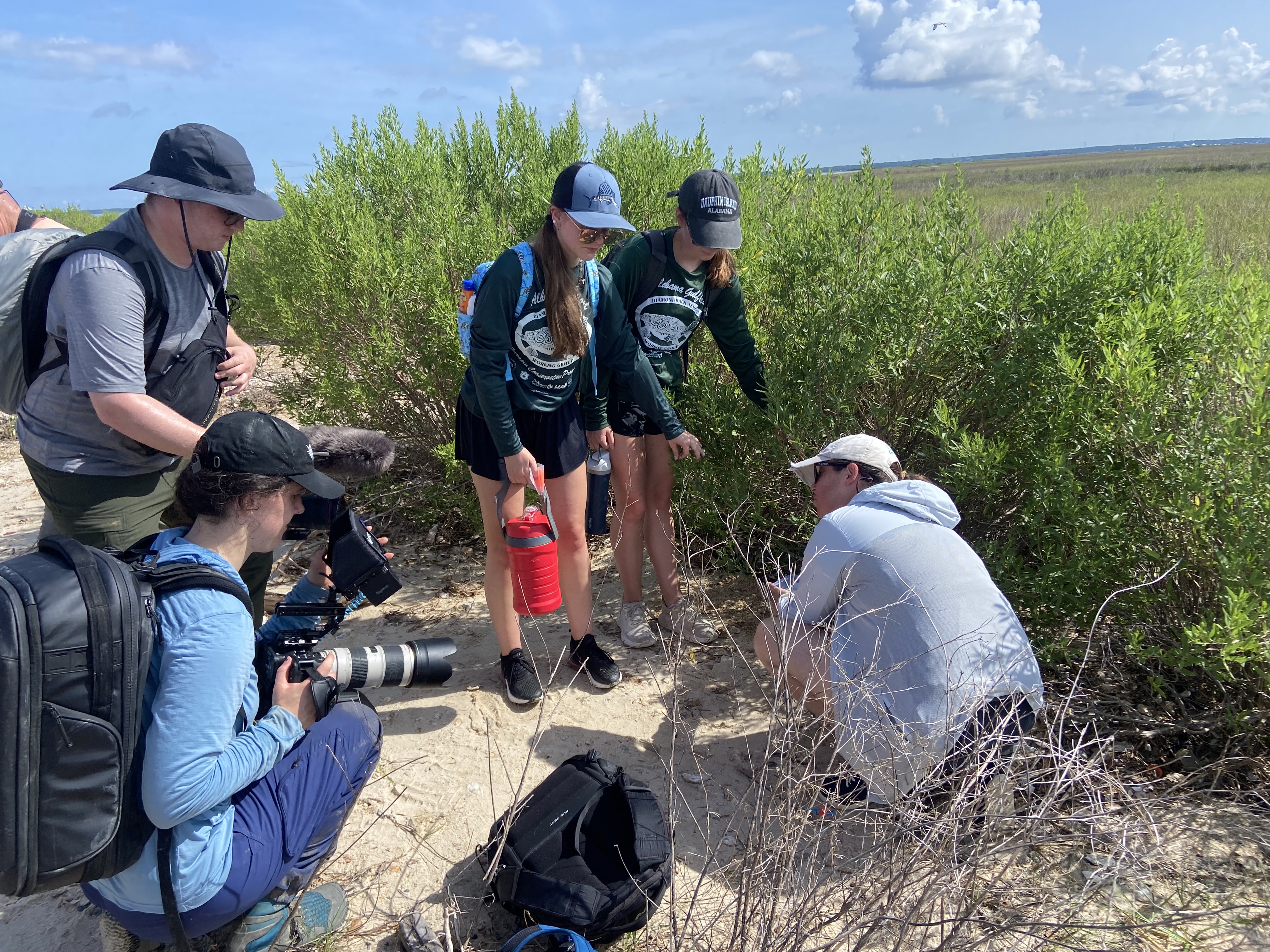 A group five people gather around eggs deposited in sand. 