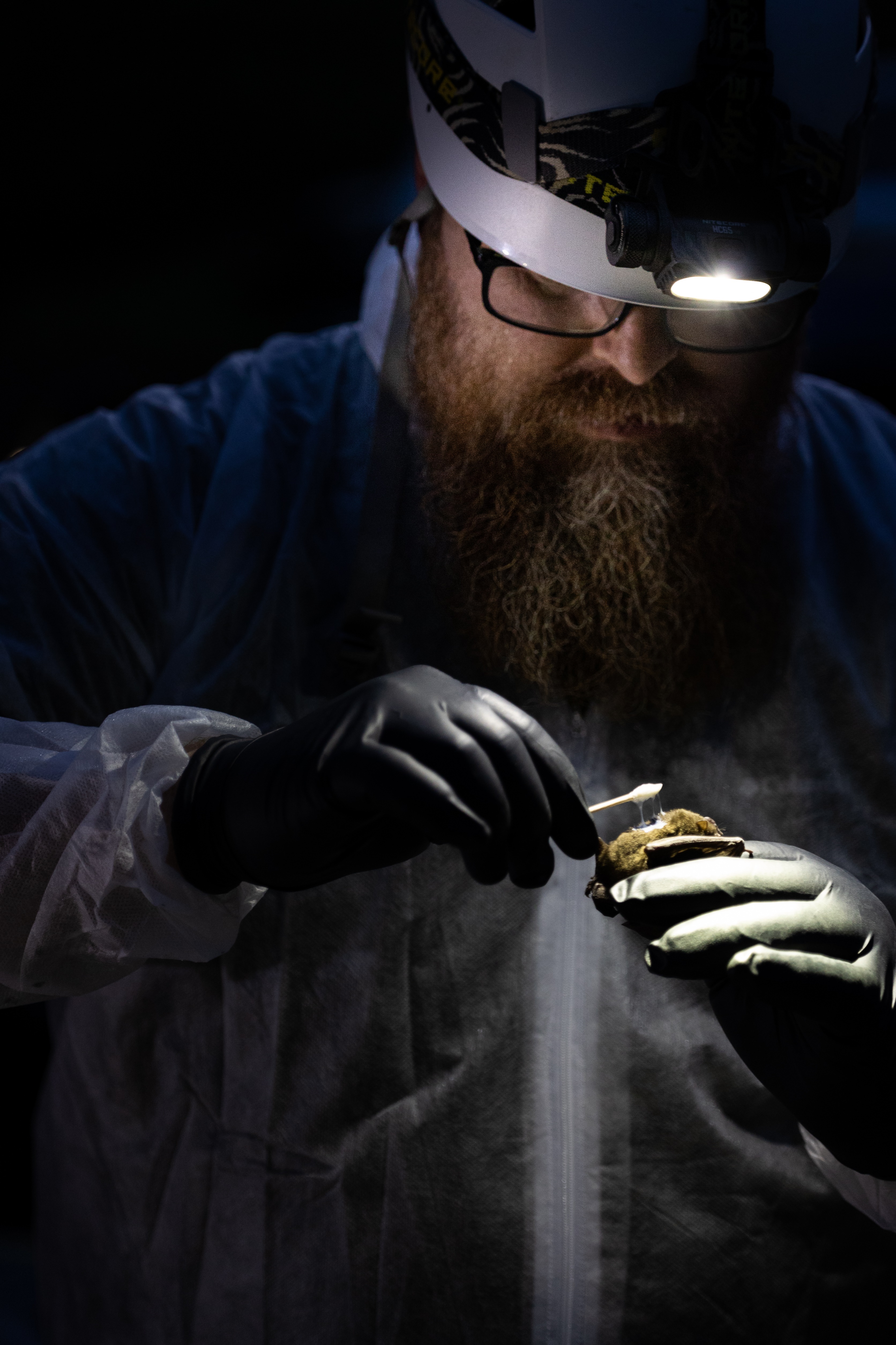 Cory Holliday studies a bat that he holds in his hand.