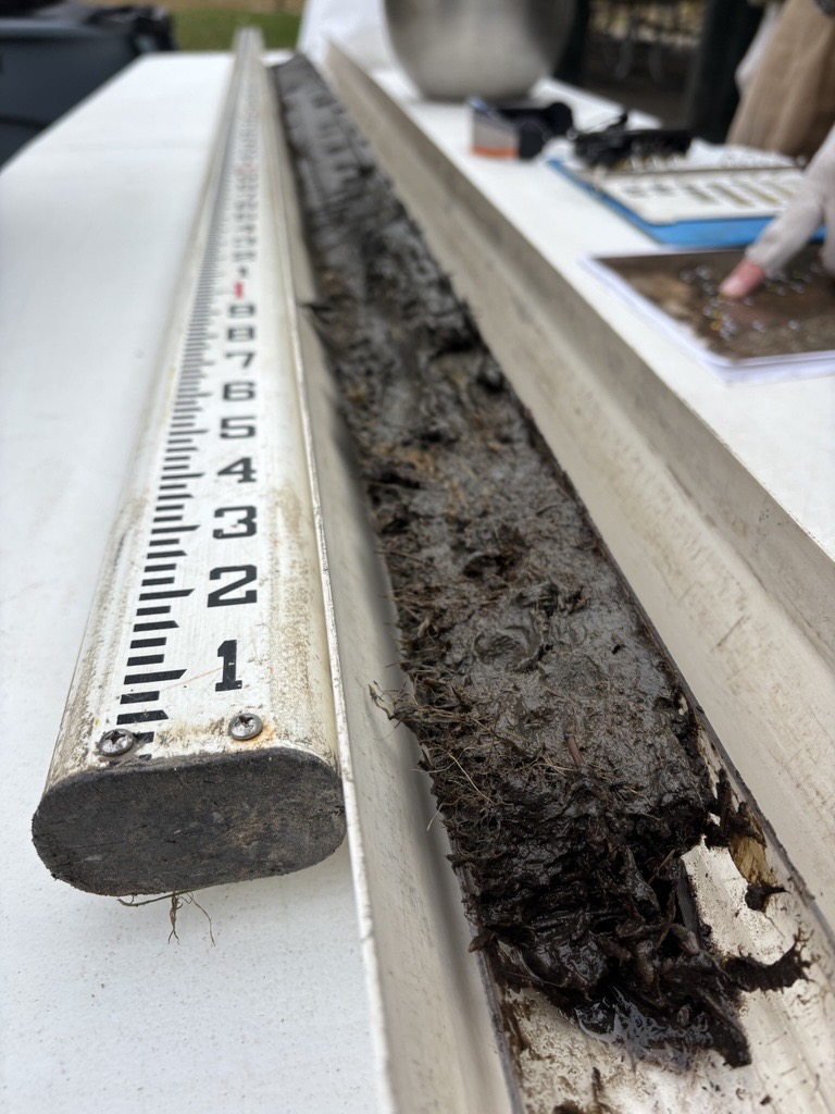 A sediment core sample next to a measuring ruler, showing layers of soil and organic material, displayed on a white tray for scientific examination.