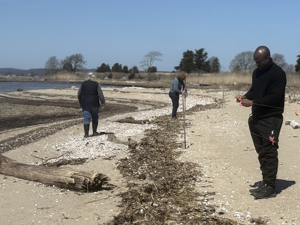Three people are conducting environmental research on a beach, surrounded by driftwood and shells. They're using measuring tools and markers, with a coastal landscape and sparse trees in the background.