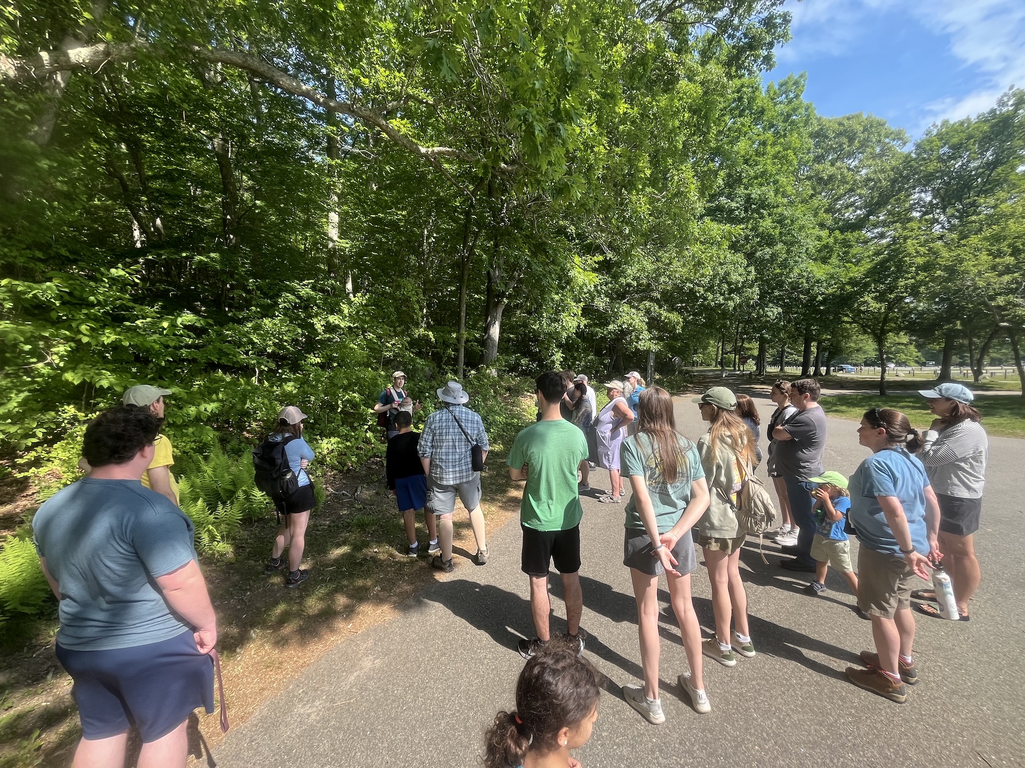 A group of hikers stands on a forest trail surrounded by green trees and foliage. One person in the group appears to be speaking to the others, who are listening attentively. The trail is narrow and marked with a red and white blaze on a tree.