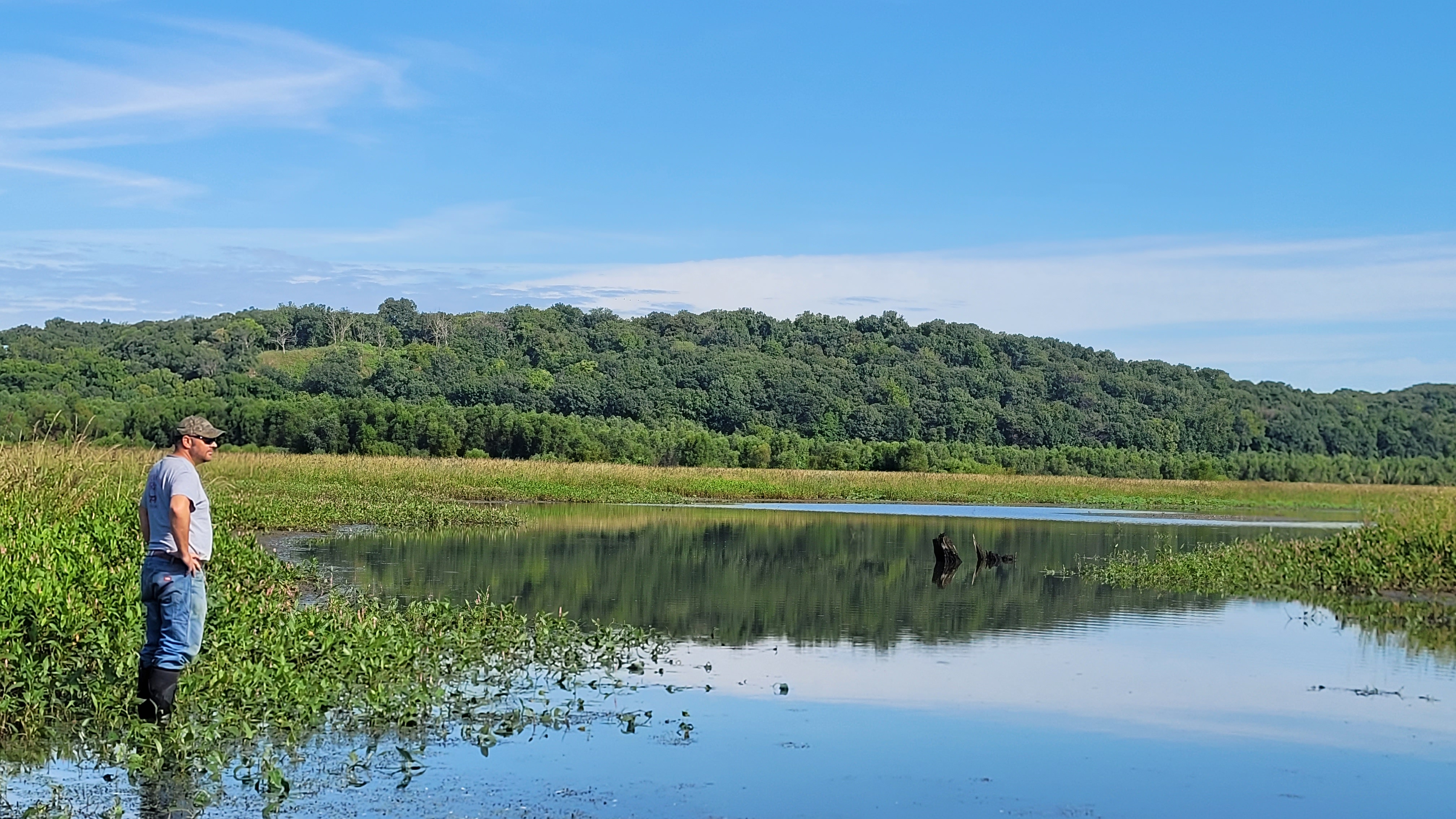 A man looks over a wetland.
