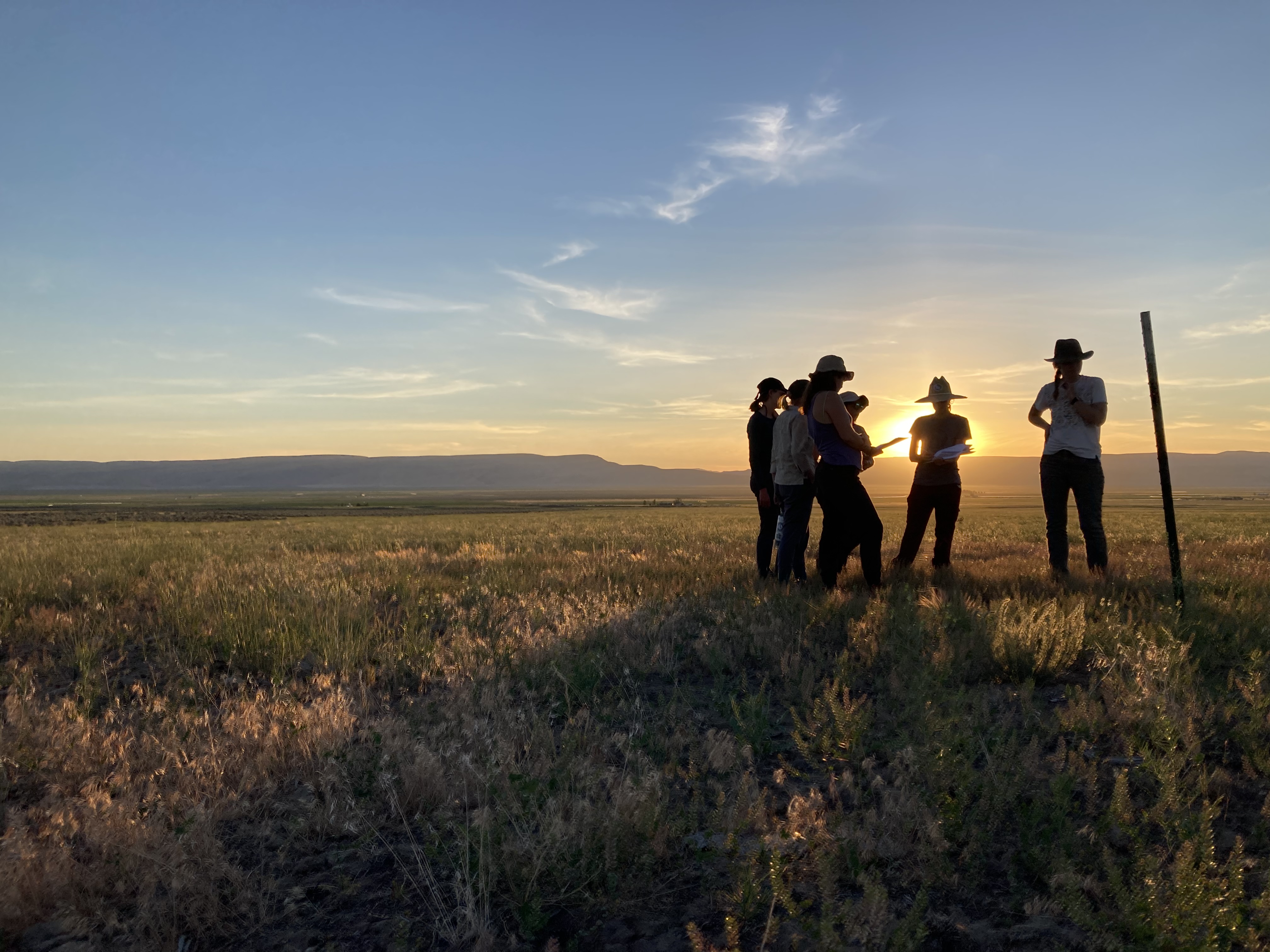 A group of people stand in a circle working in a field.
