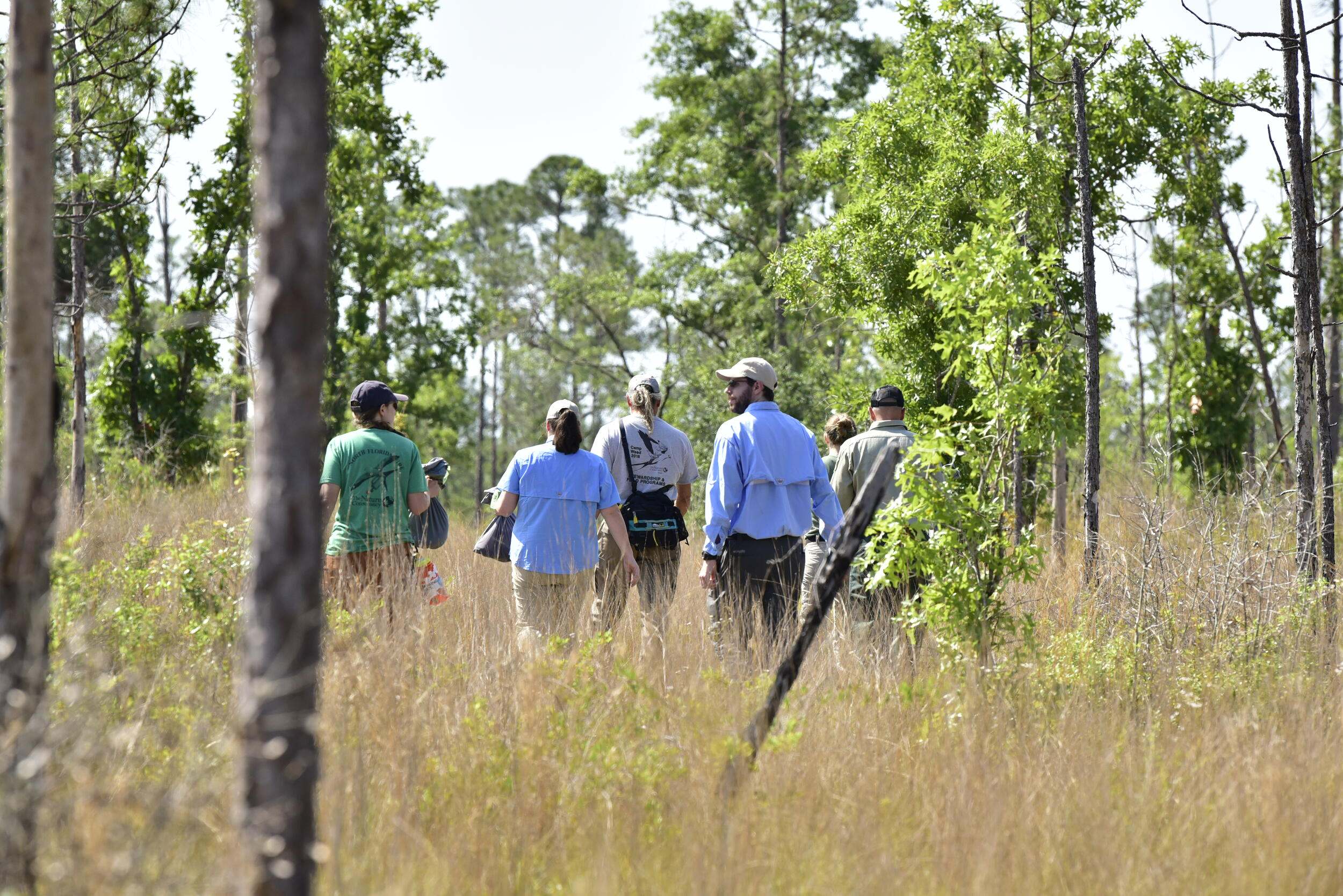 ABRP Snake Release with Partners walking through the preserve surveying the relocation sites.