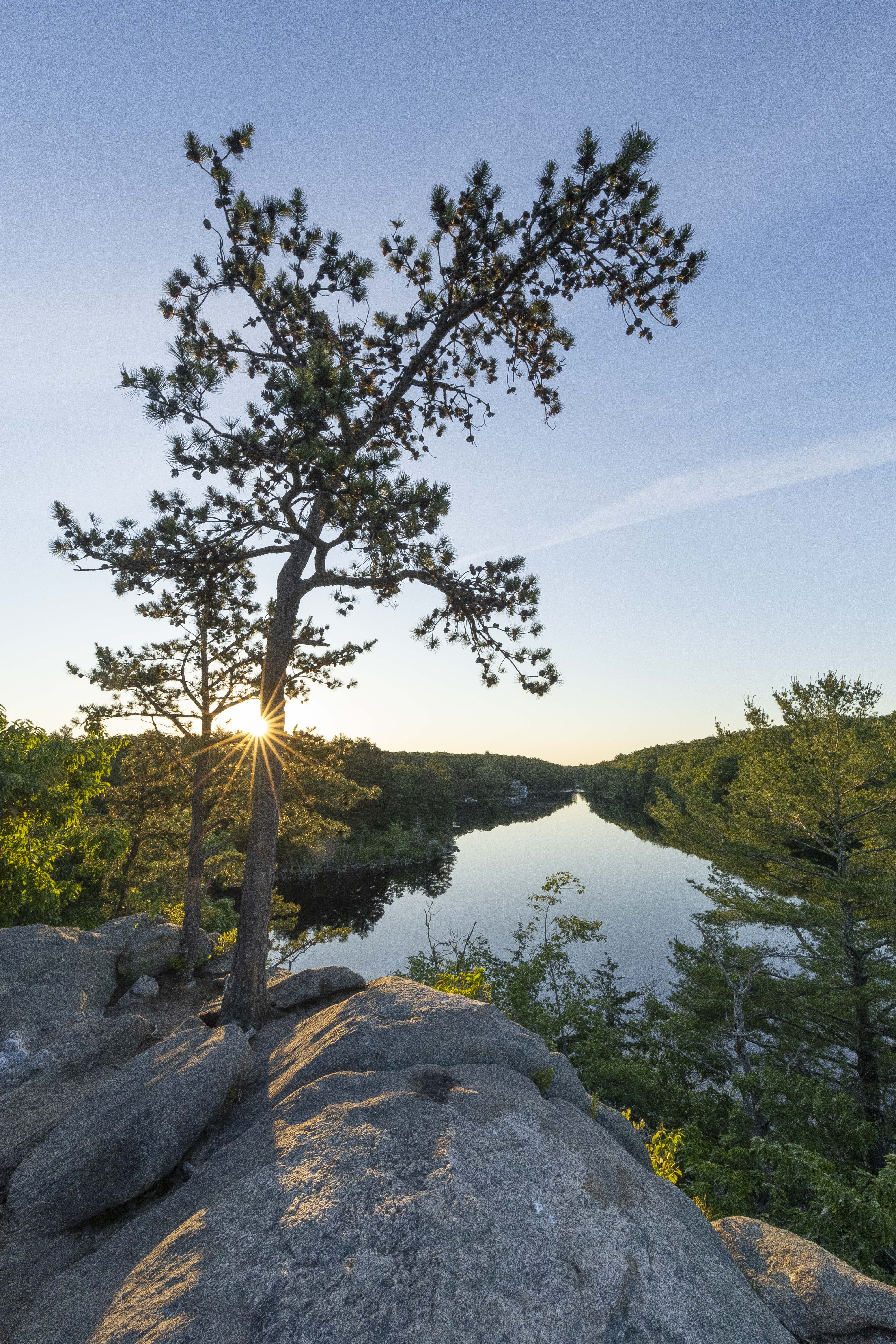 Dawn breaks over a small pond surrounded by forest, as viewed from atop a high granite outcrop with two small pine trees.